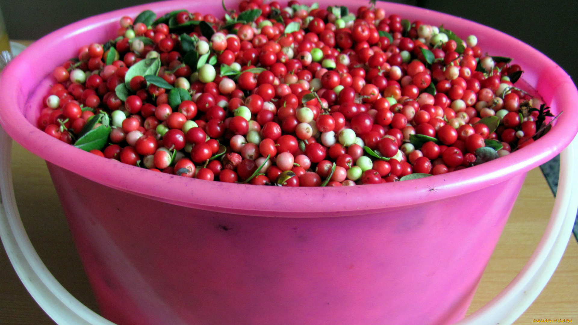 еда, брусника