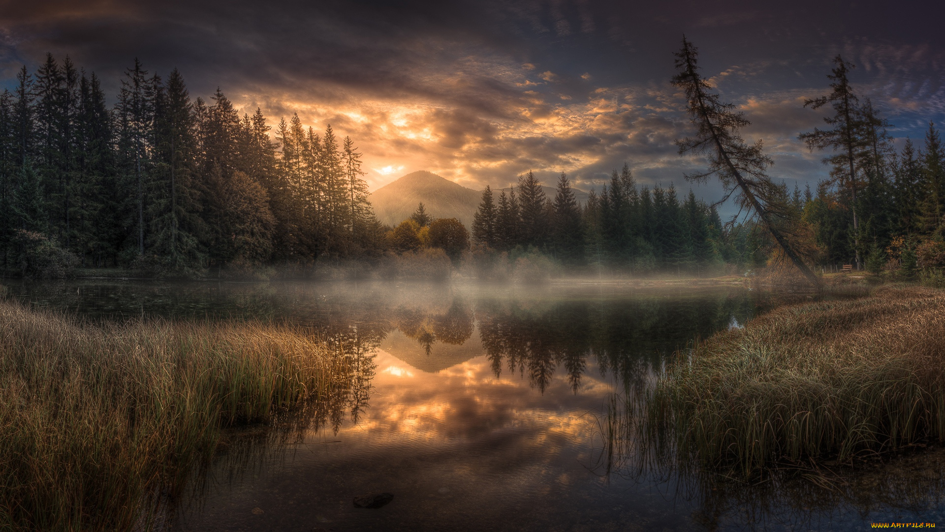 природа, реки, озера, австрия, озеро, пфаррертайх