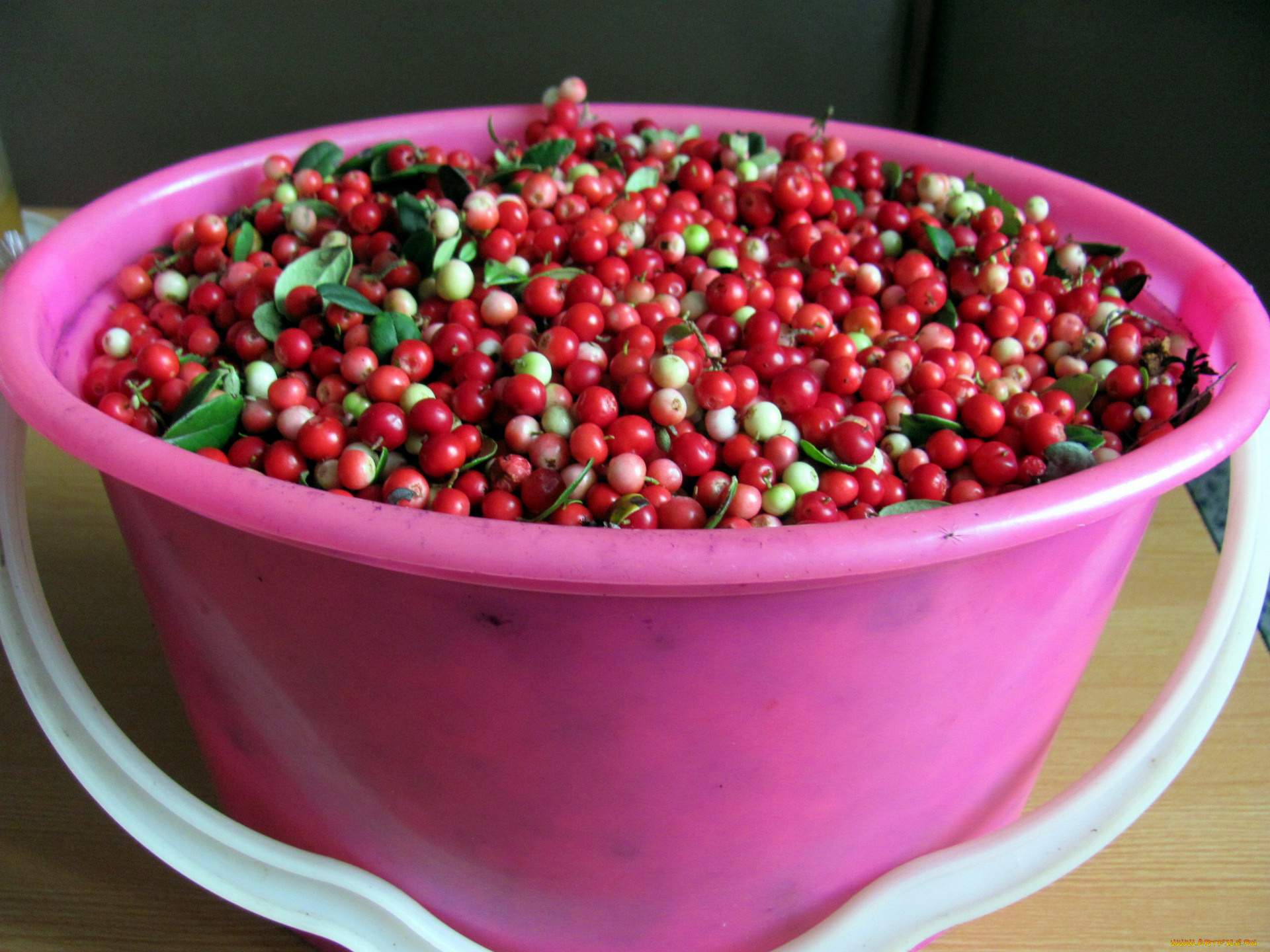 еда, брусника