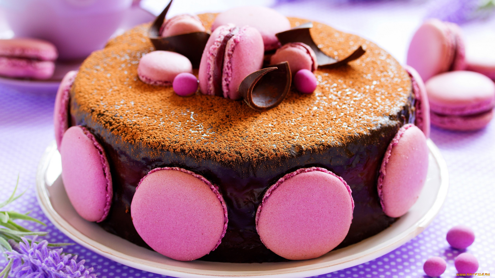 еда, торты, макаруны, торт, шоколад