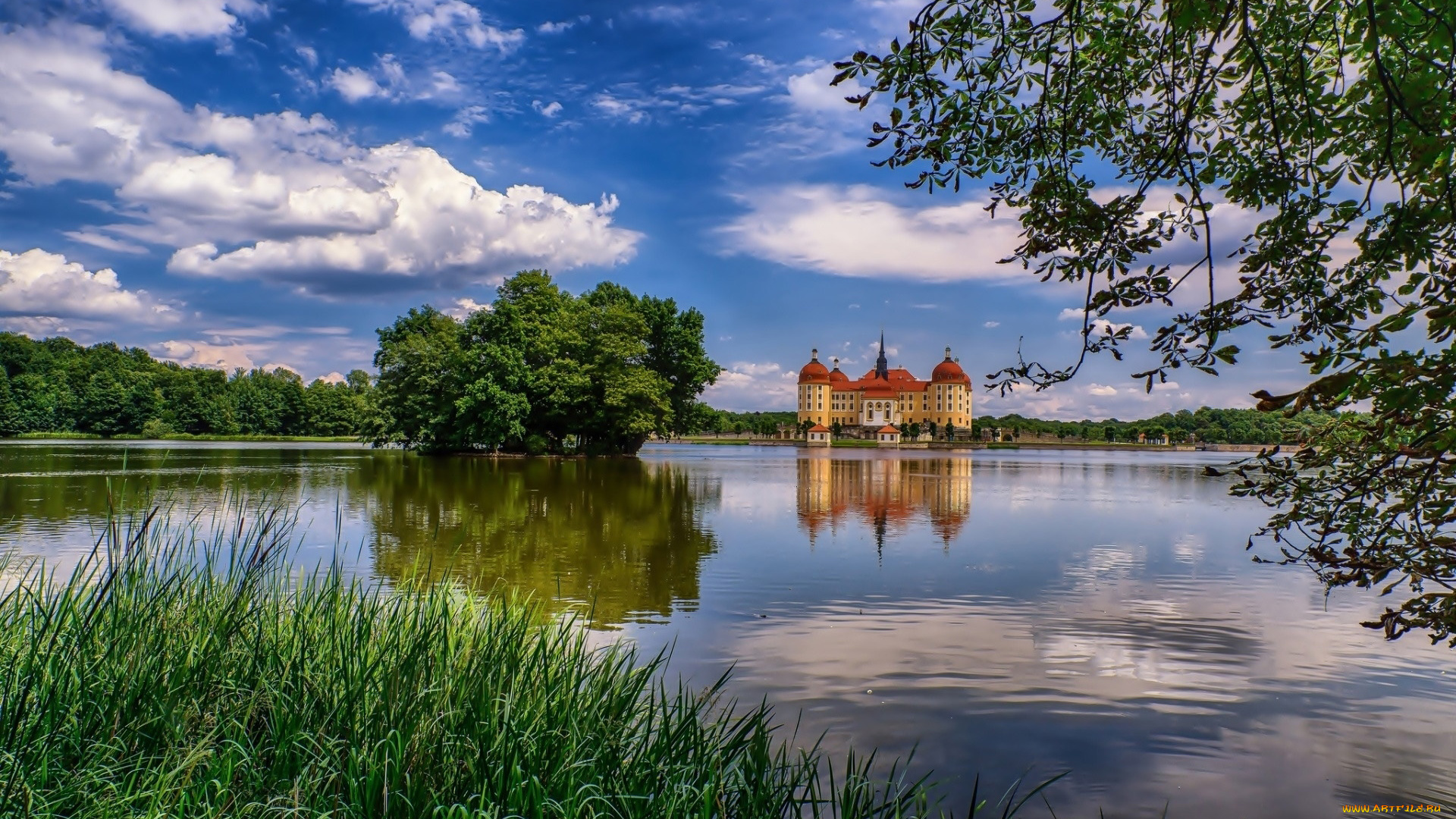 moritzburg, castle, germany, города, замок, морицбург, , германия, moritzburg, castle