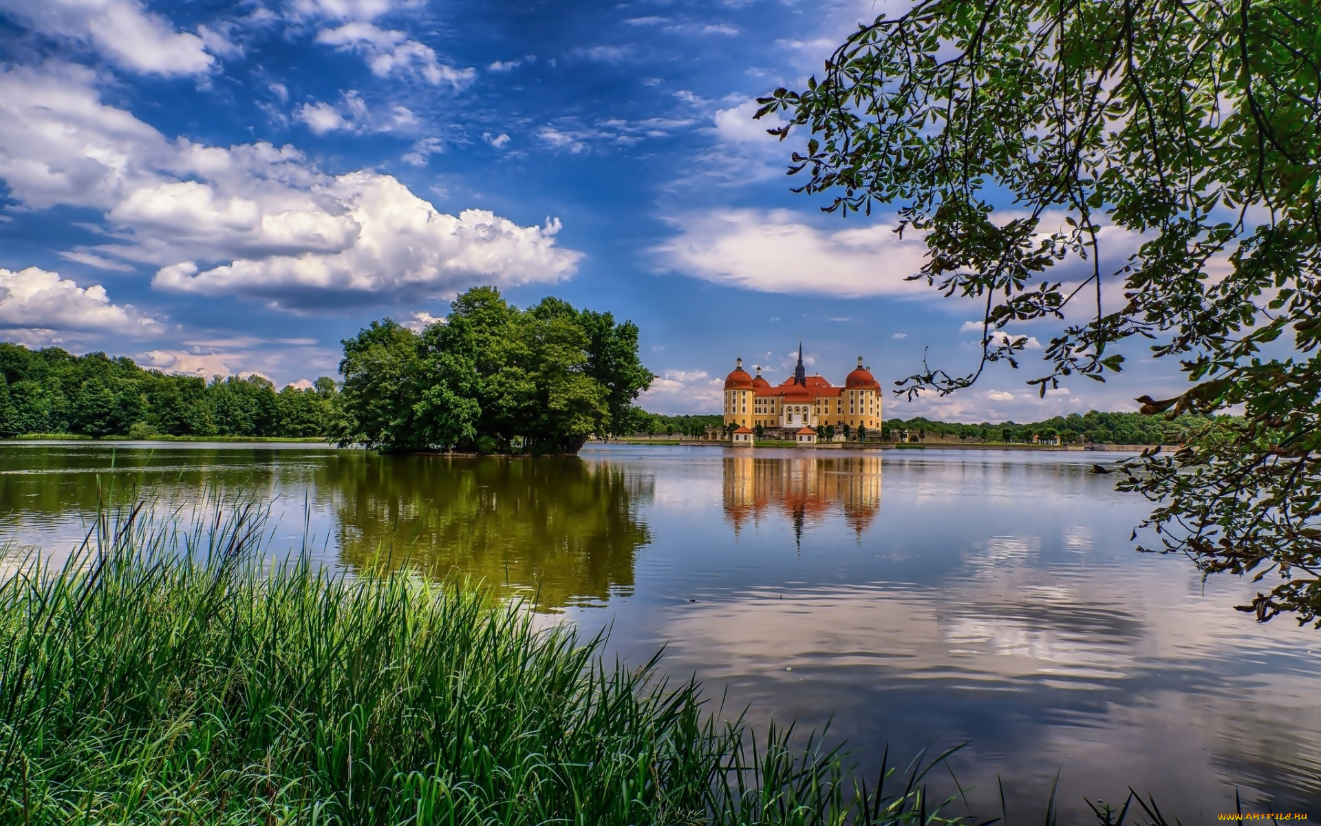 moritzburg, castle, germany, города, замок, морицбург, , германия, moritzburg, castle