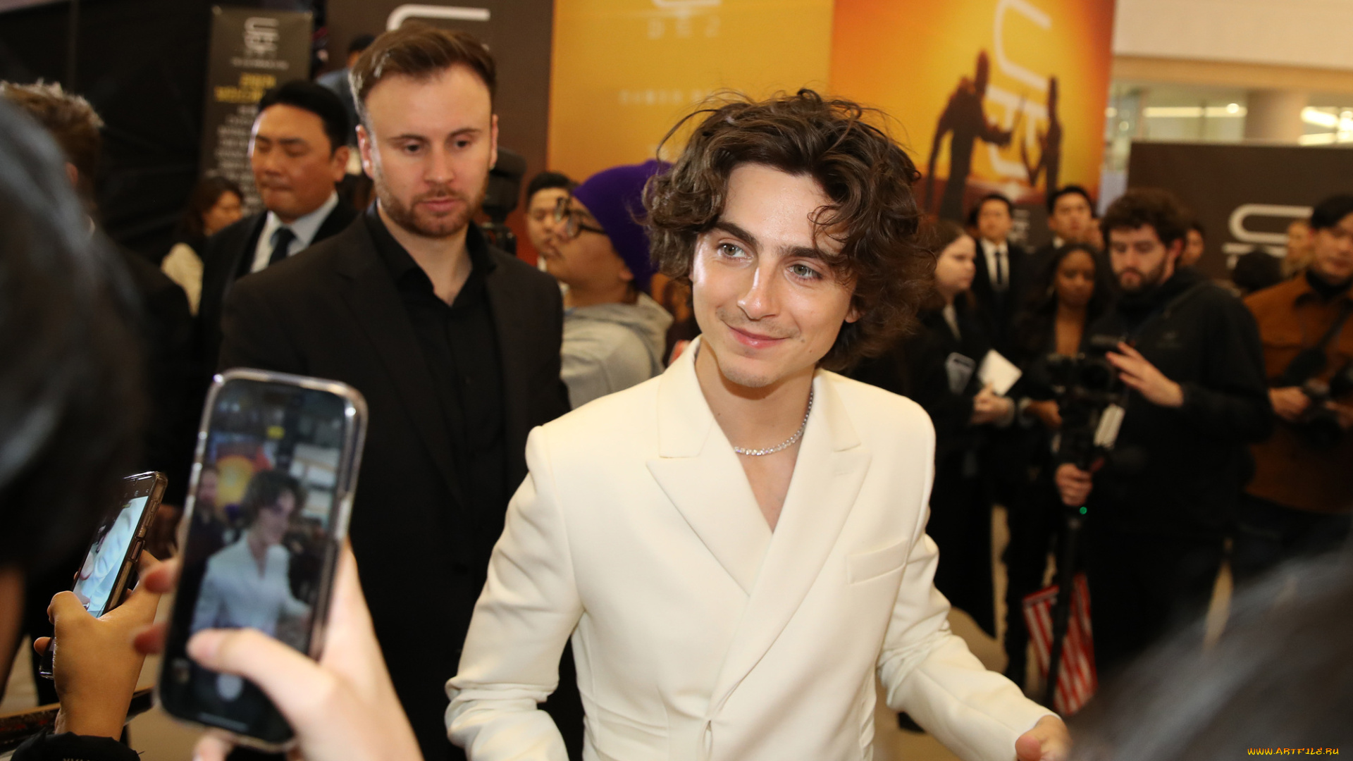 мужчины, timothee, chalamet, актер, люди