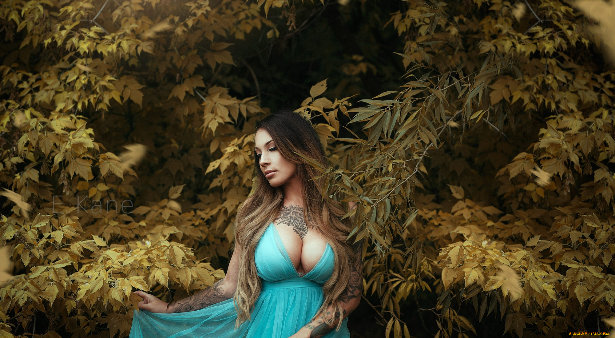 девушки, -, брюнетки, , шатенки, девушка