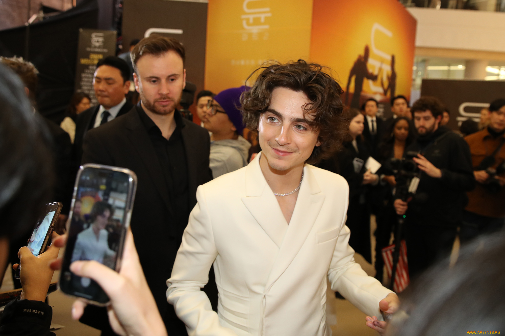 мужчины, timothee, chalamet, актер, люди