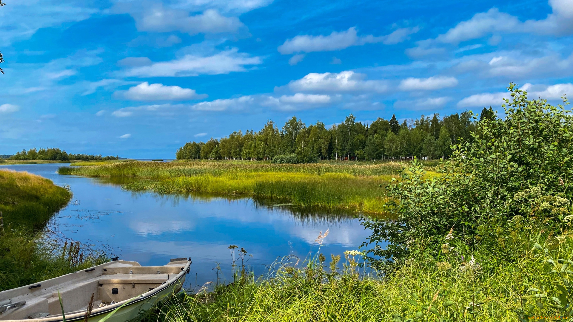 корабли, лодки, , шлюпки, затока, лодка, трава, лето