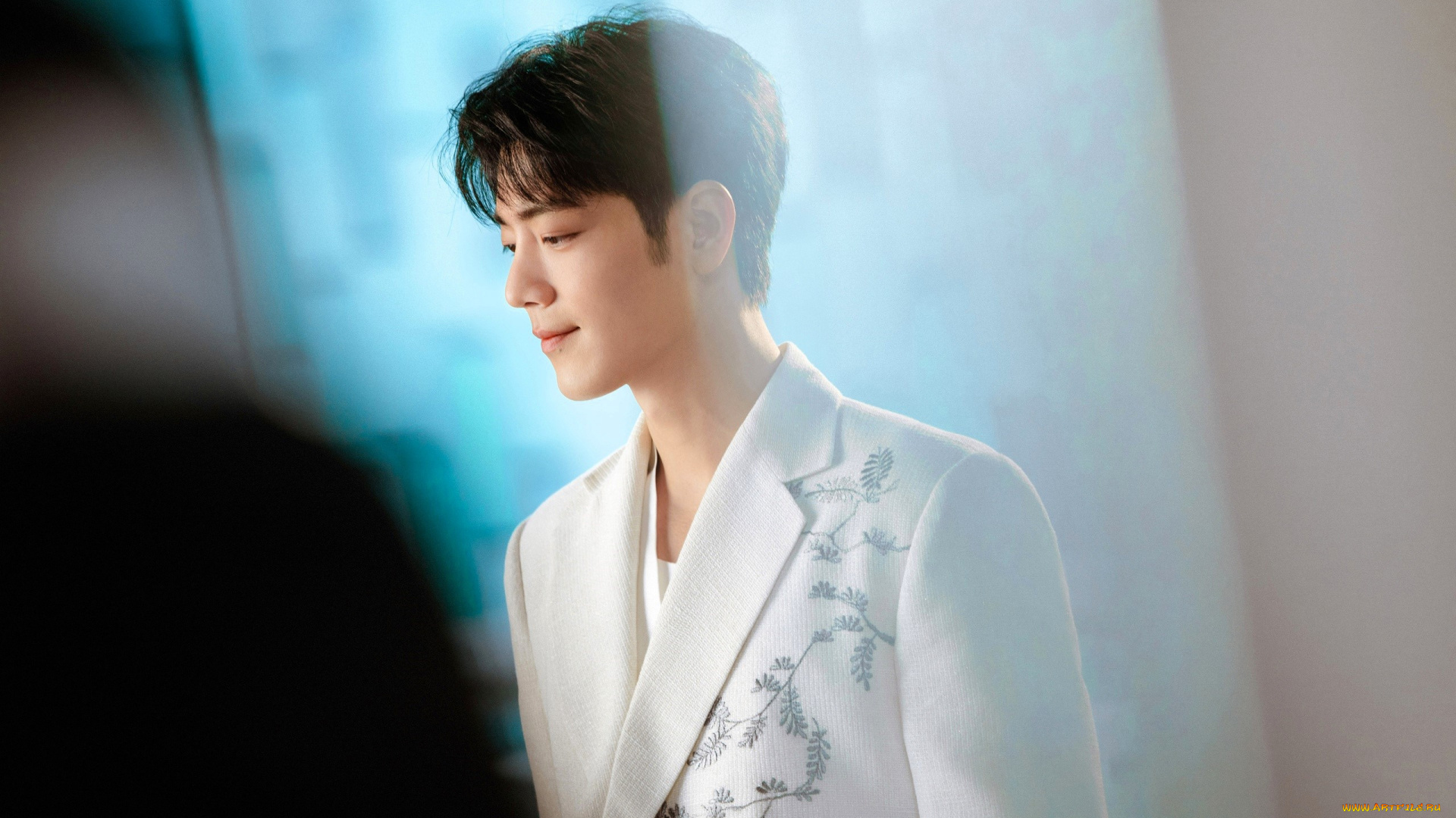 мужчины, xiao, zhan, актер, пиджак, свет