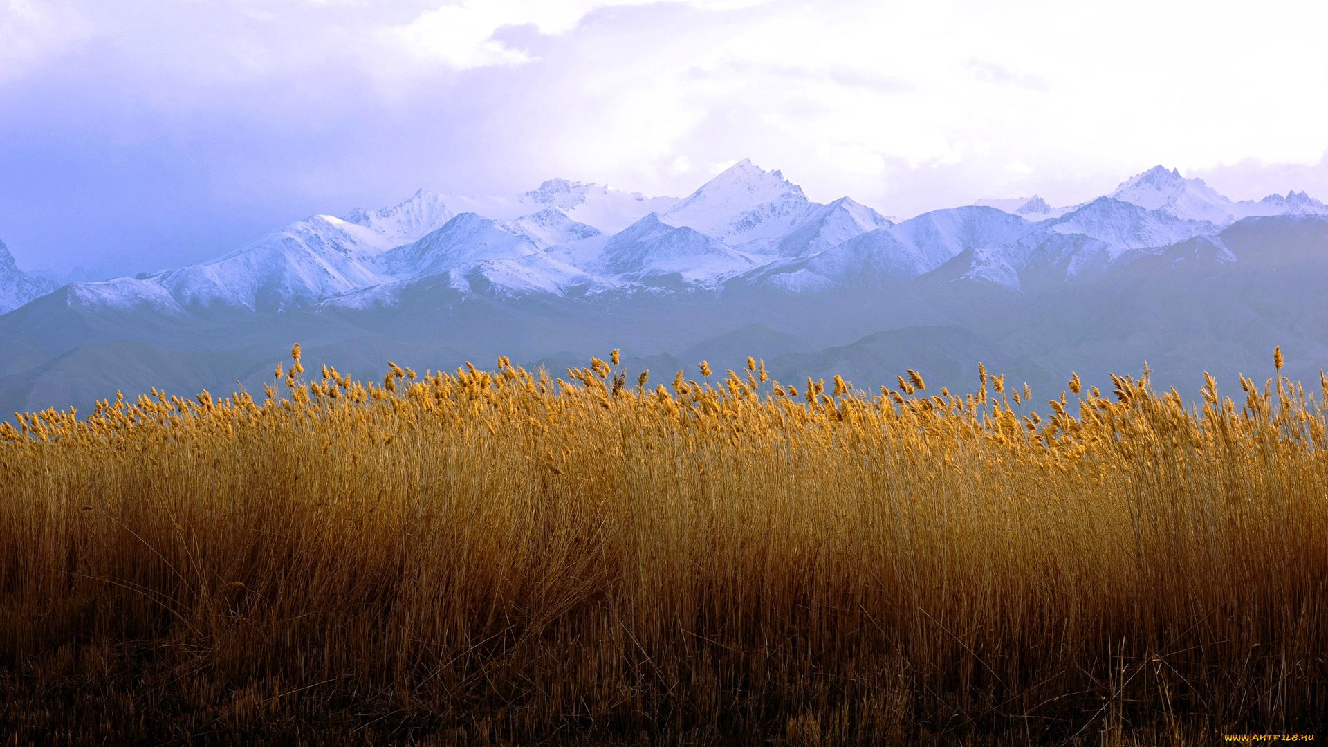 природа, поля, поле, горы