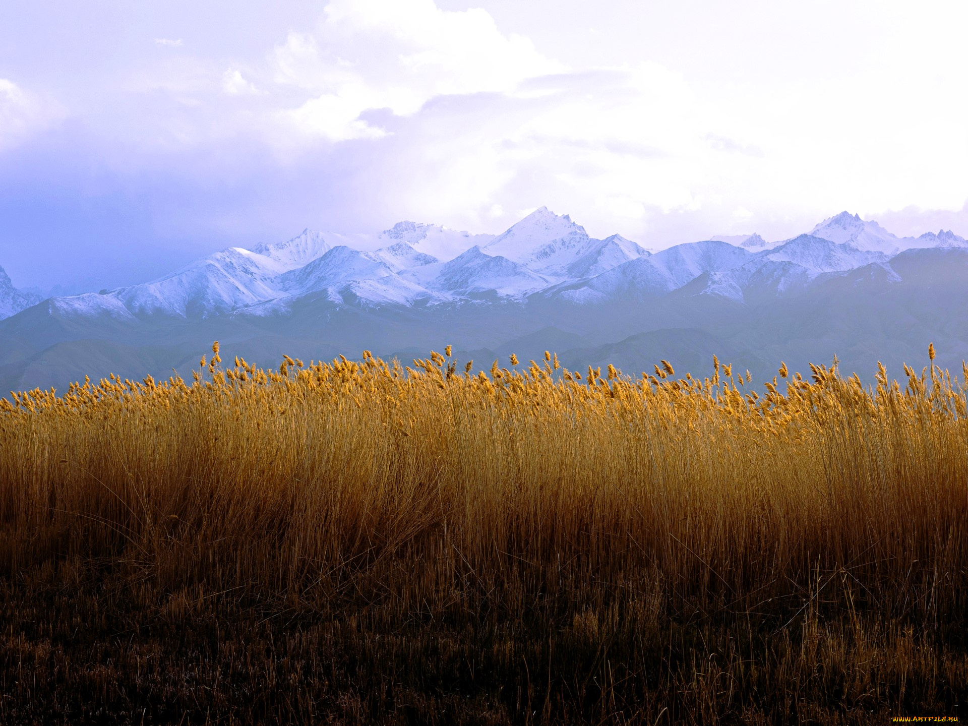 природа, поля, поле, горы