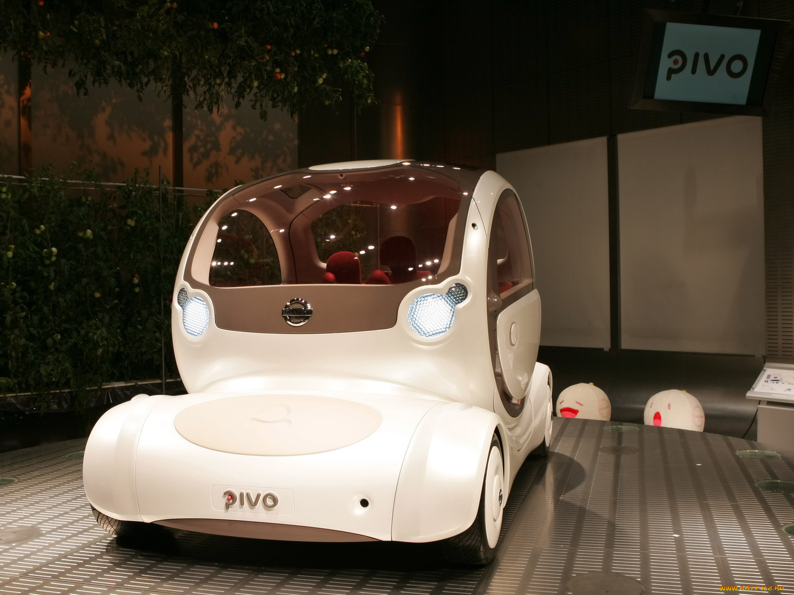 nissan, divo, автомобили, datsun