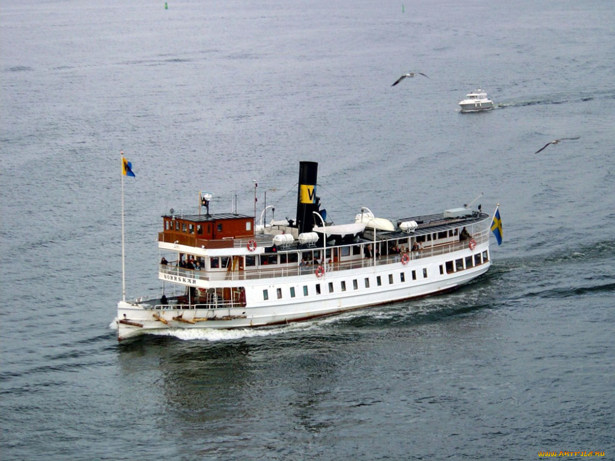 корабли, пароходы