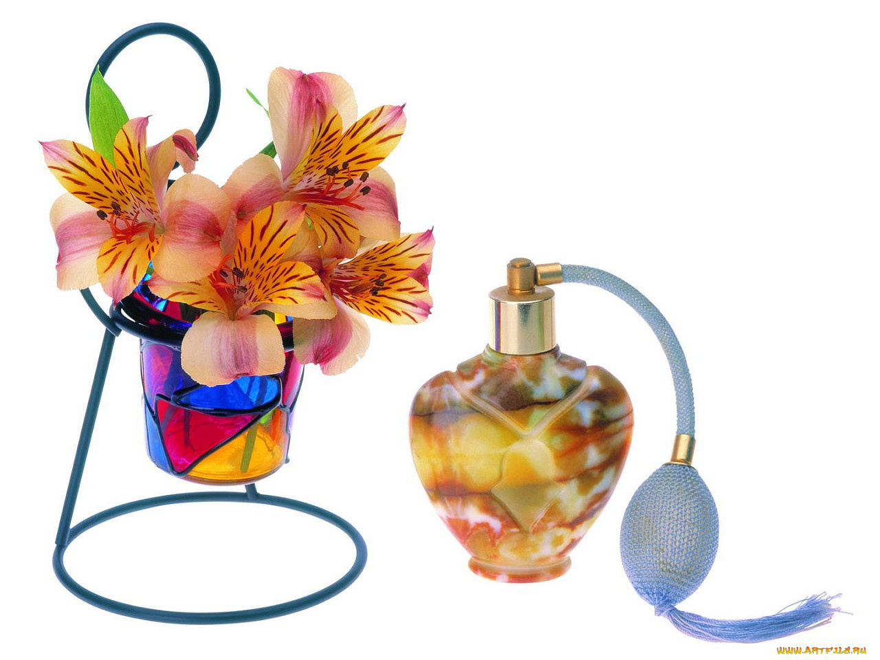 цветы, альстромерия