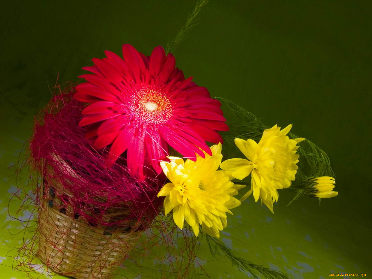 цветы, букеты, композиции