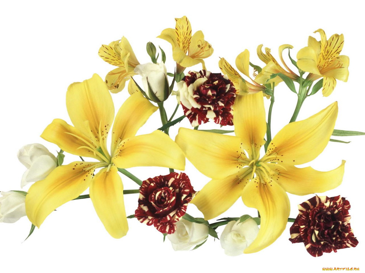 цветы, букеты, композиции