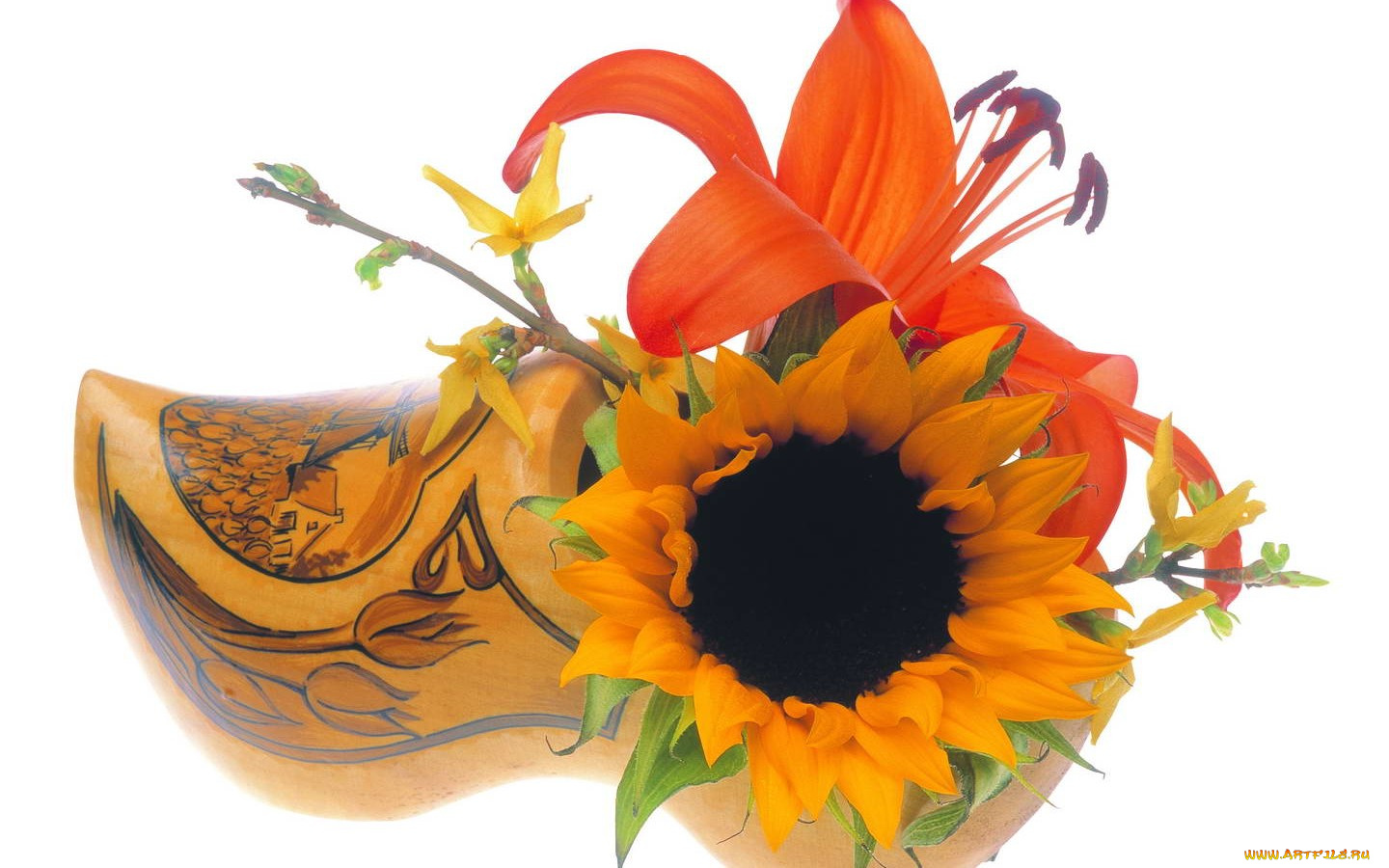 цветы, букеты, композиции