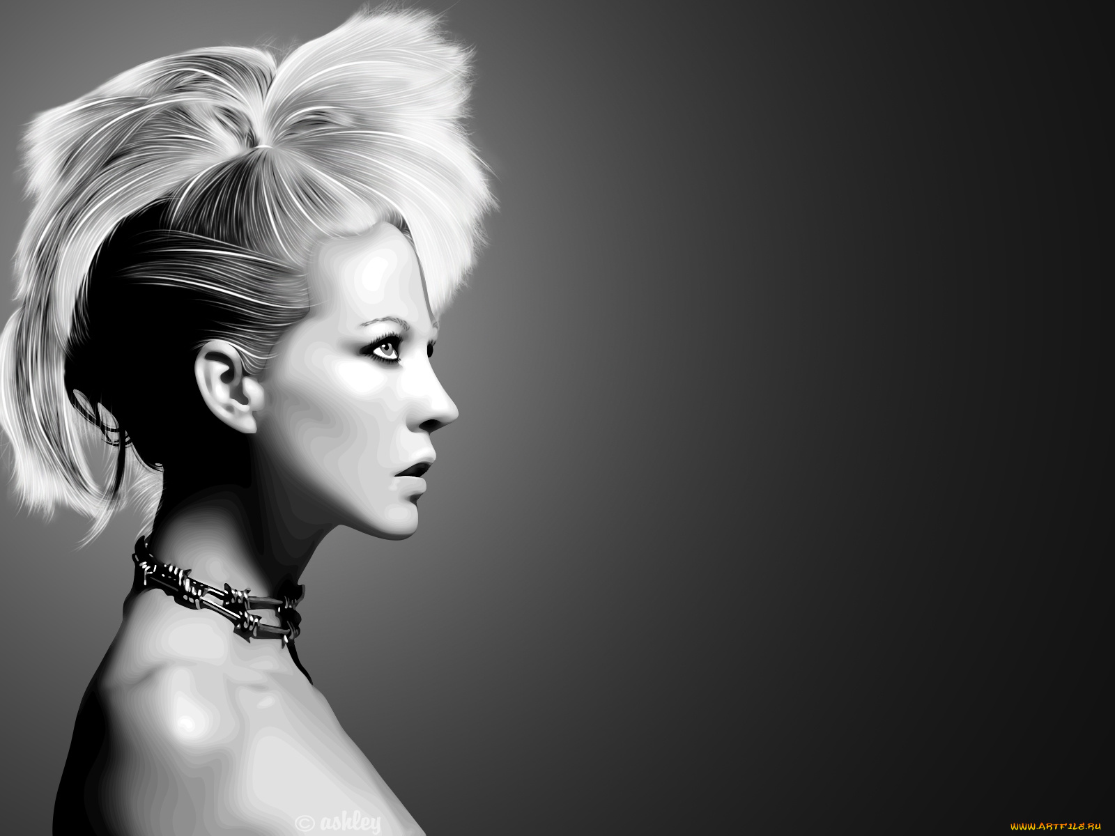 векторная, графика, панк