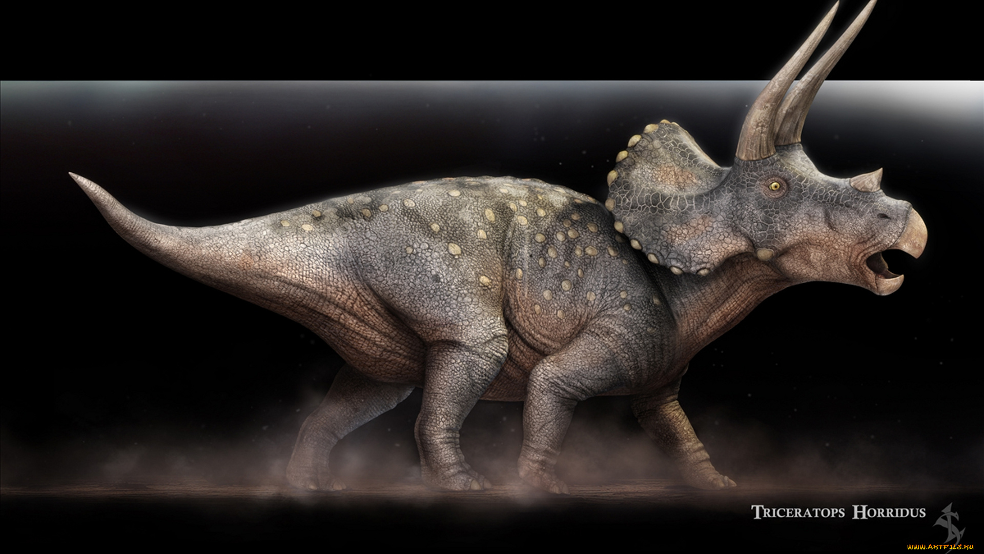 triceratops, horridus, рисованные, животные, доисторические, динозавры, ящеры, рисунок