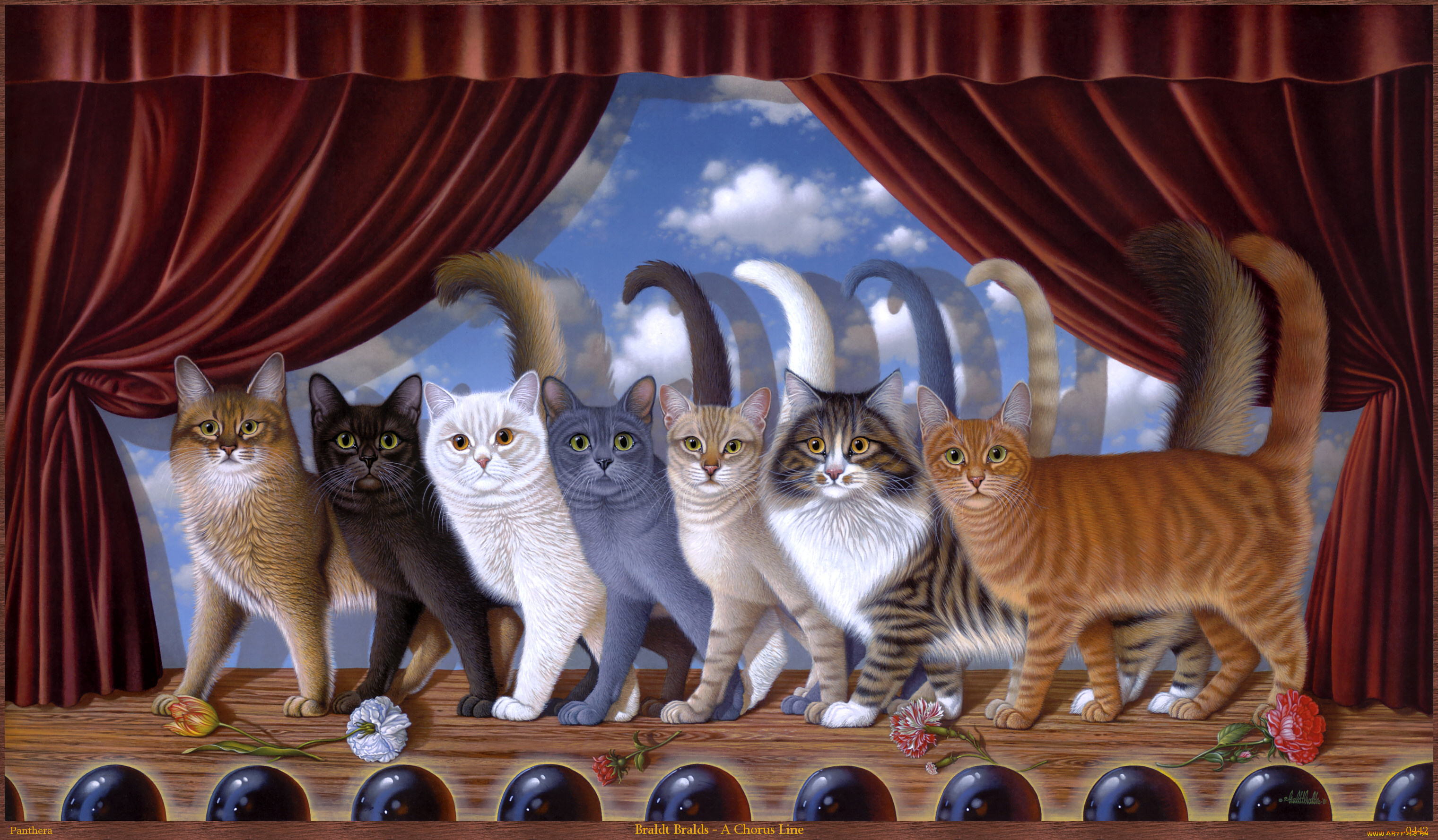 braldt, bralds, chorus, line, рисованные, кошки, сцена, выступление, арт