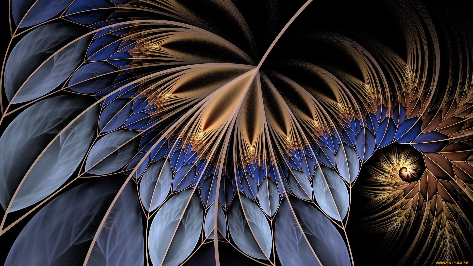 3д, графика, fractal, фракталы, линии, спираль, лист, листья