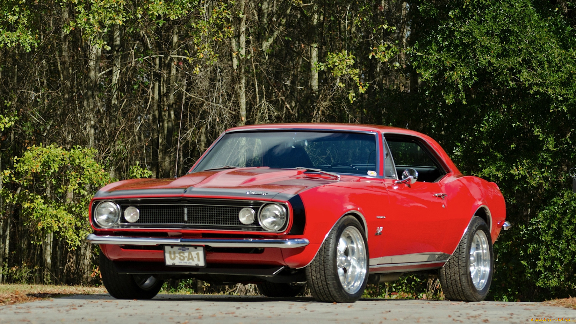 автомобили, camaro