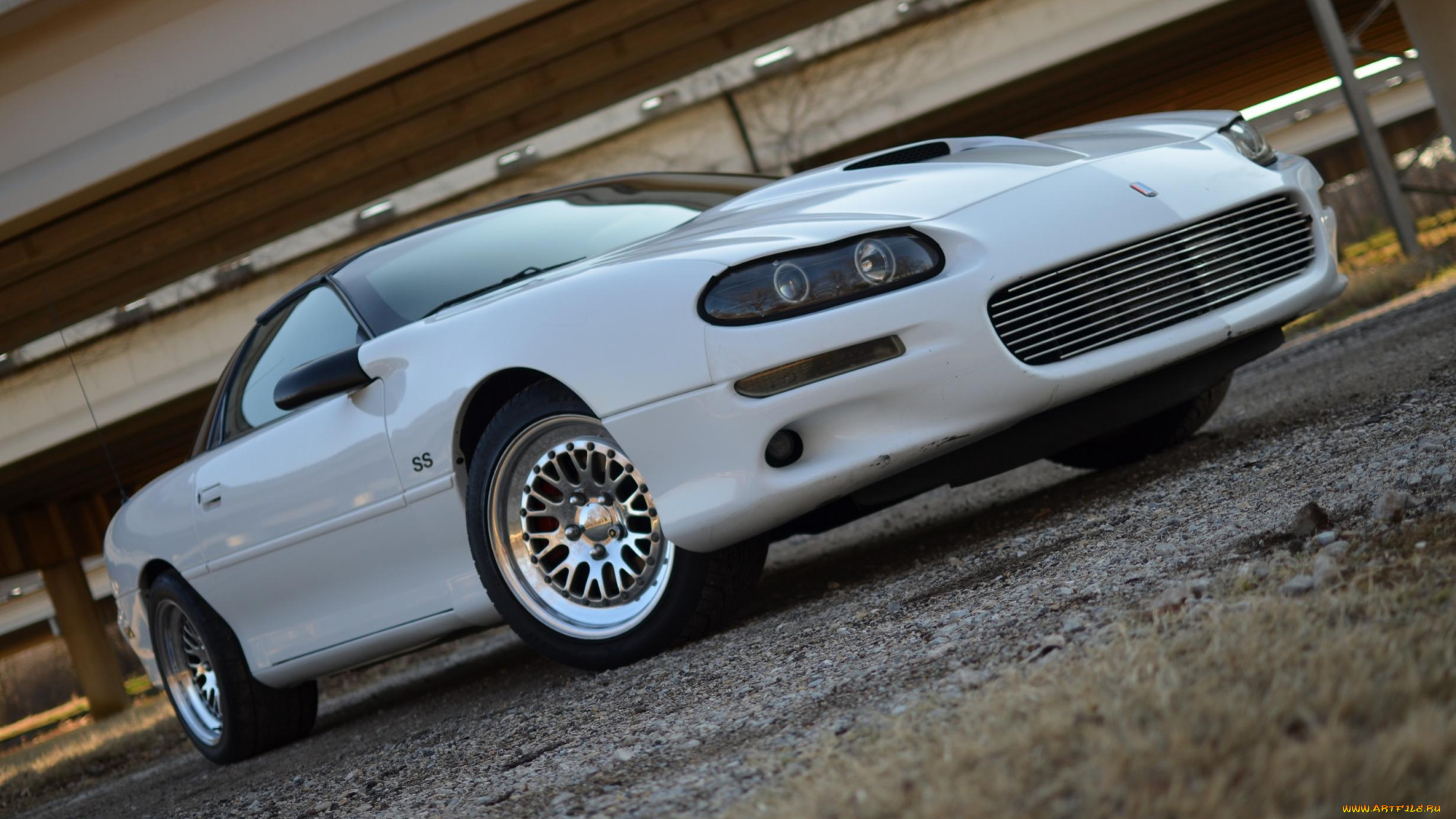 автомобили, camaro