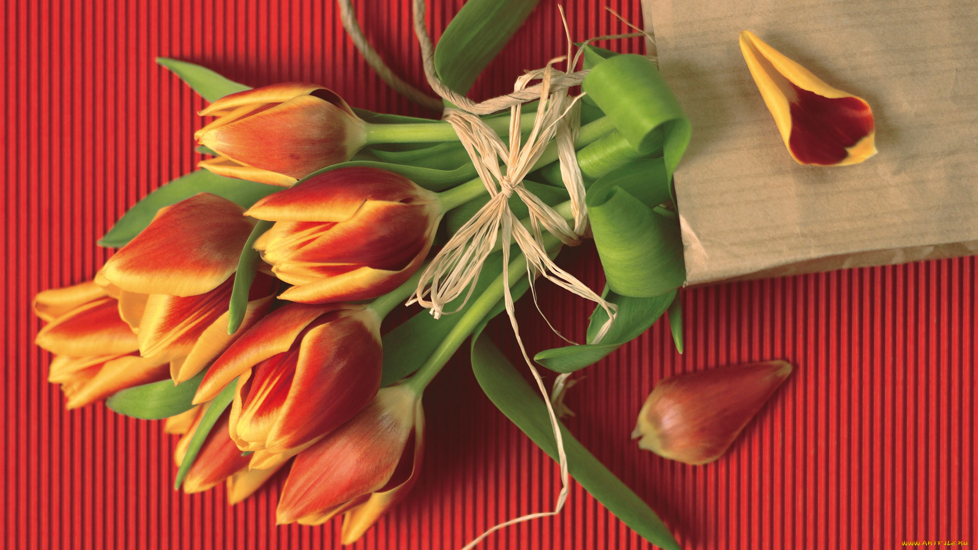 цветы, тюльпаны, букет