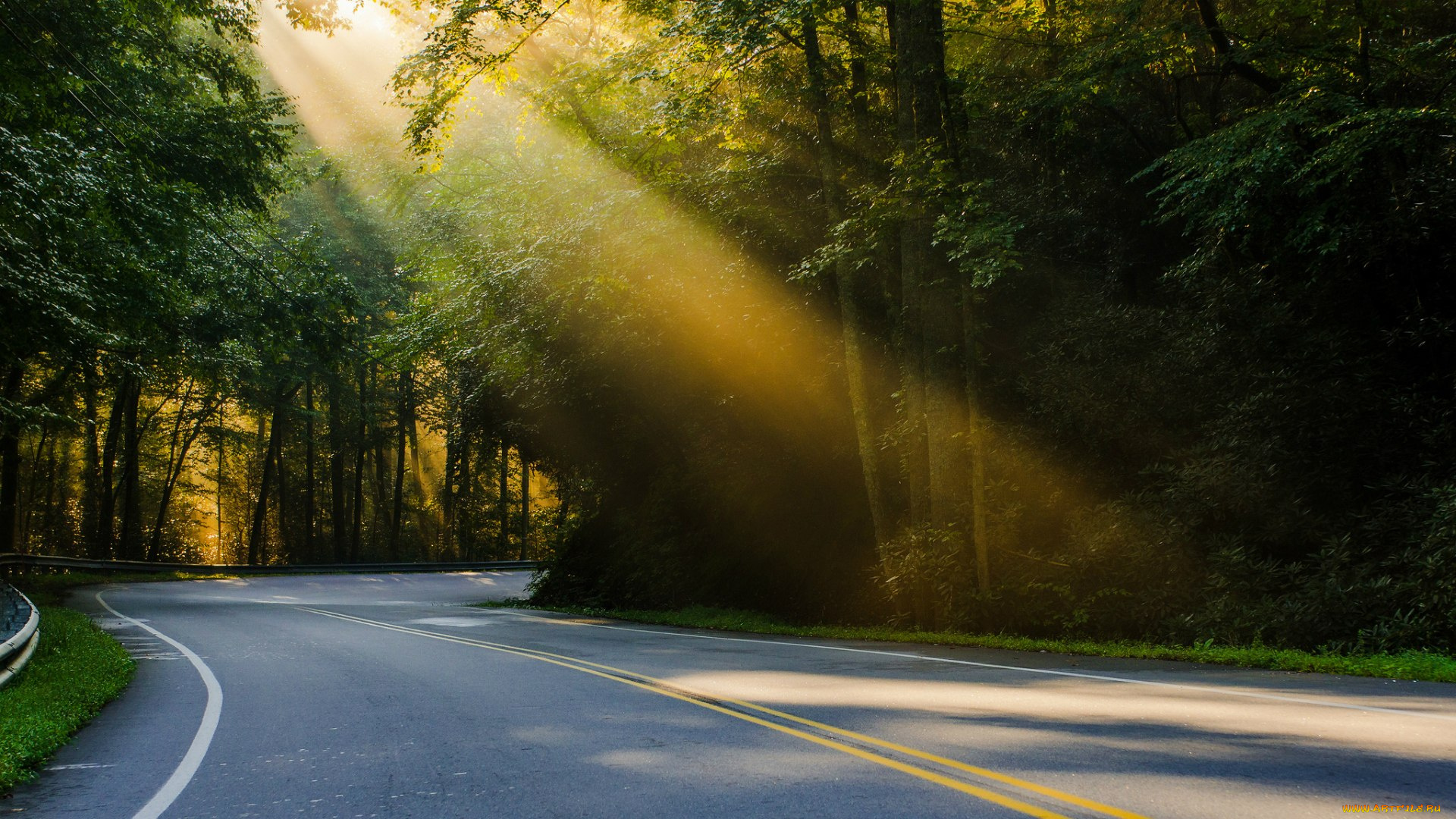 природа, дороги, лучи