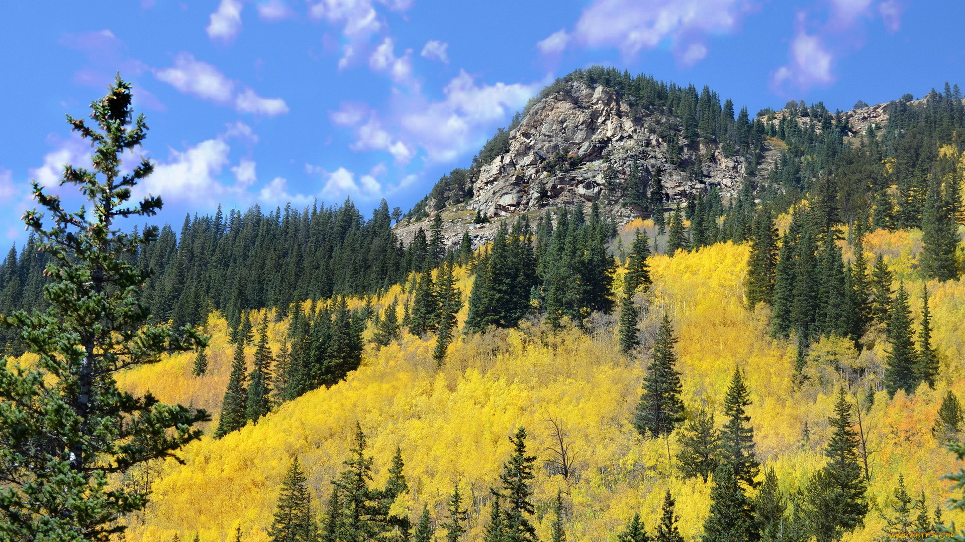 природа, горы, лес, гора