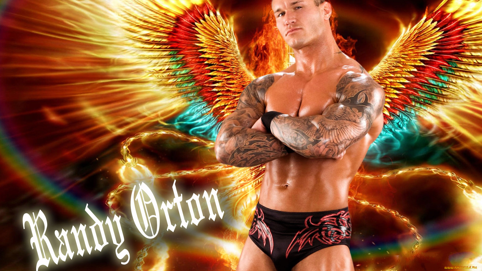 спорт, wwe, ренди, ортон, торс, мускулатура, реслинг