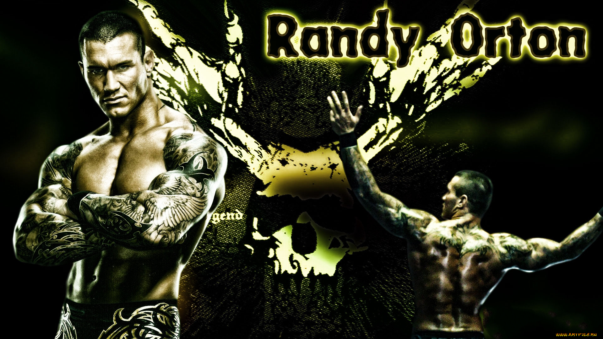 спорт, wwe, торс, мускулатура, тату, реслинг