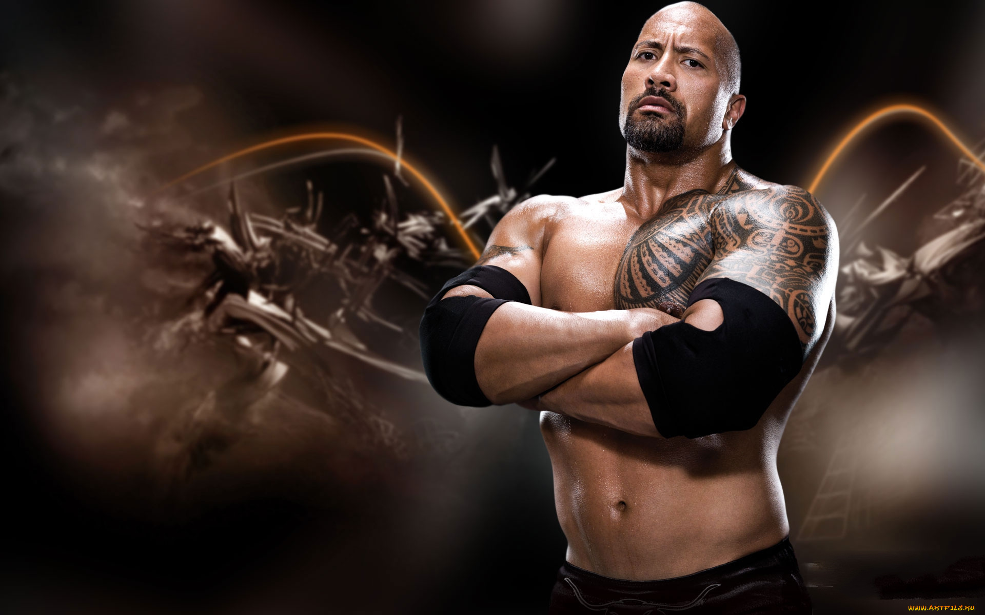 спорт, wwe, реслинг, фигура, мышцы