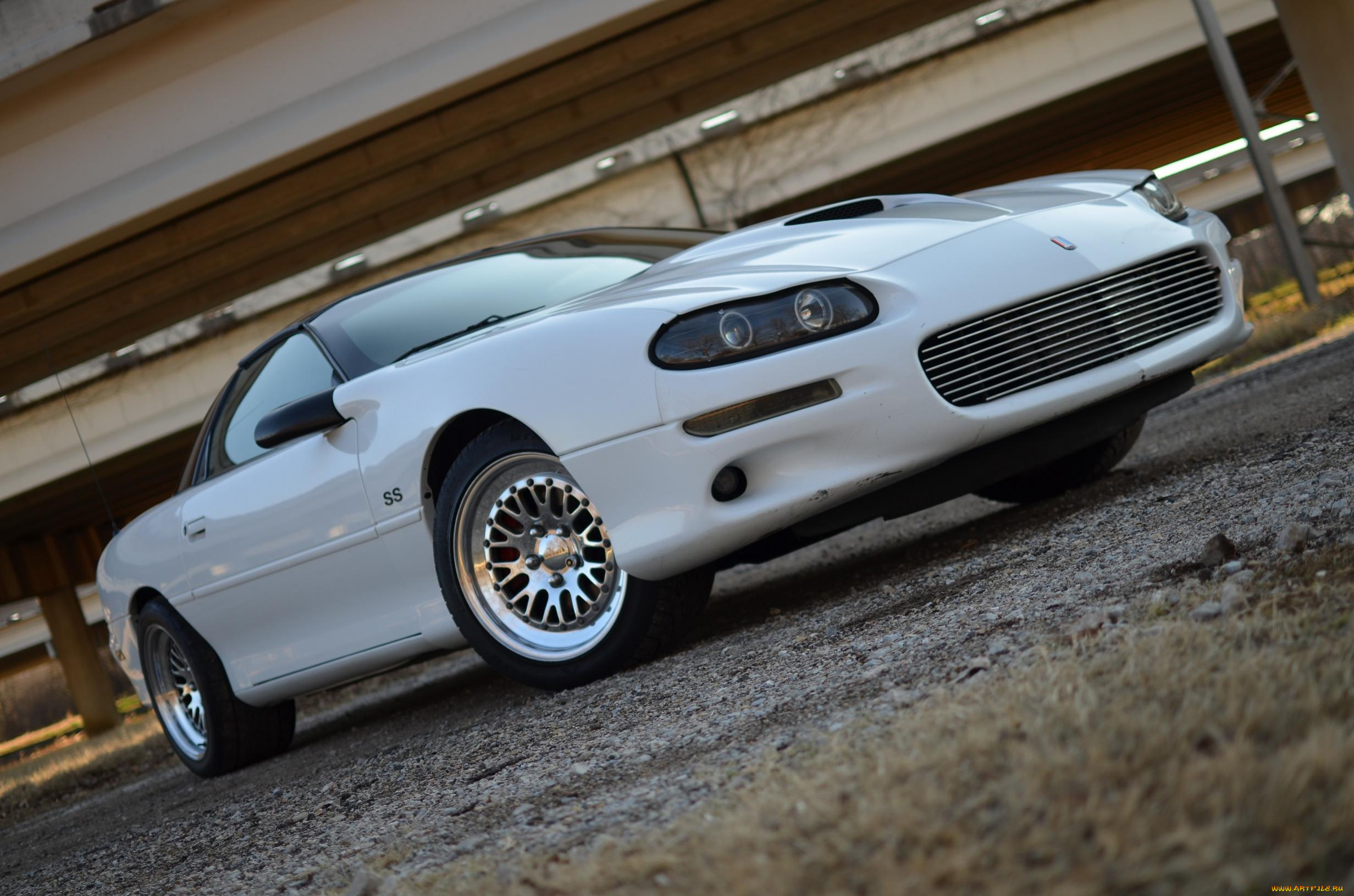 автомобили, camaro