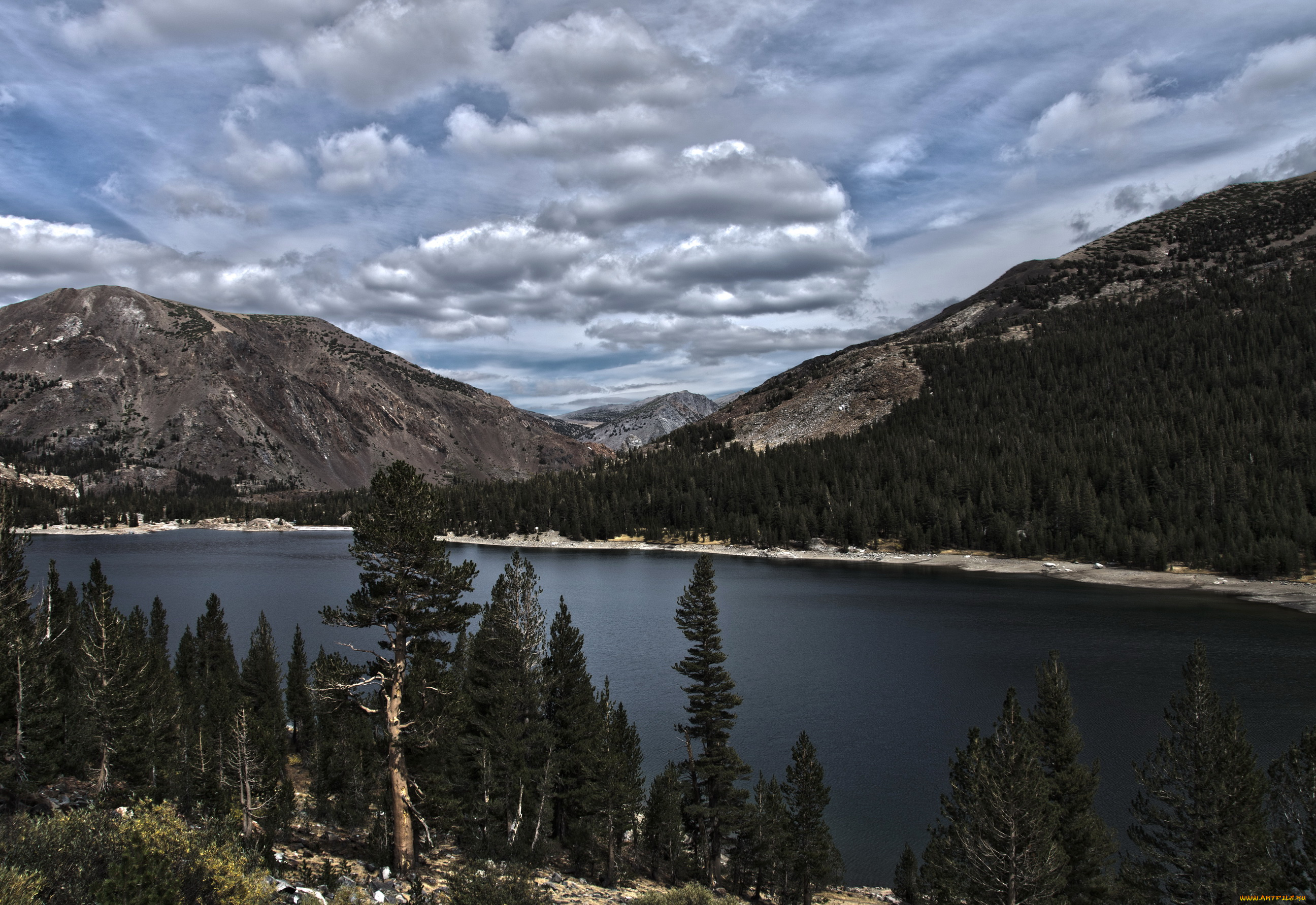 tioga, lake, yosemite, природа, реки, озера, озеро, горы