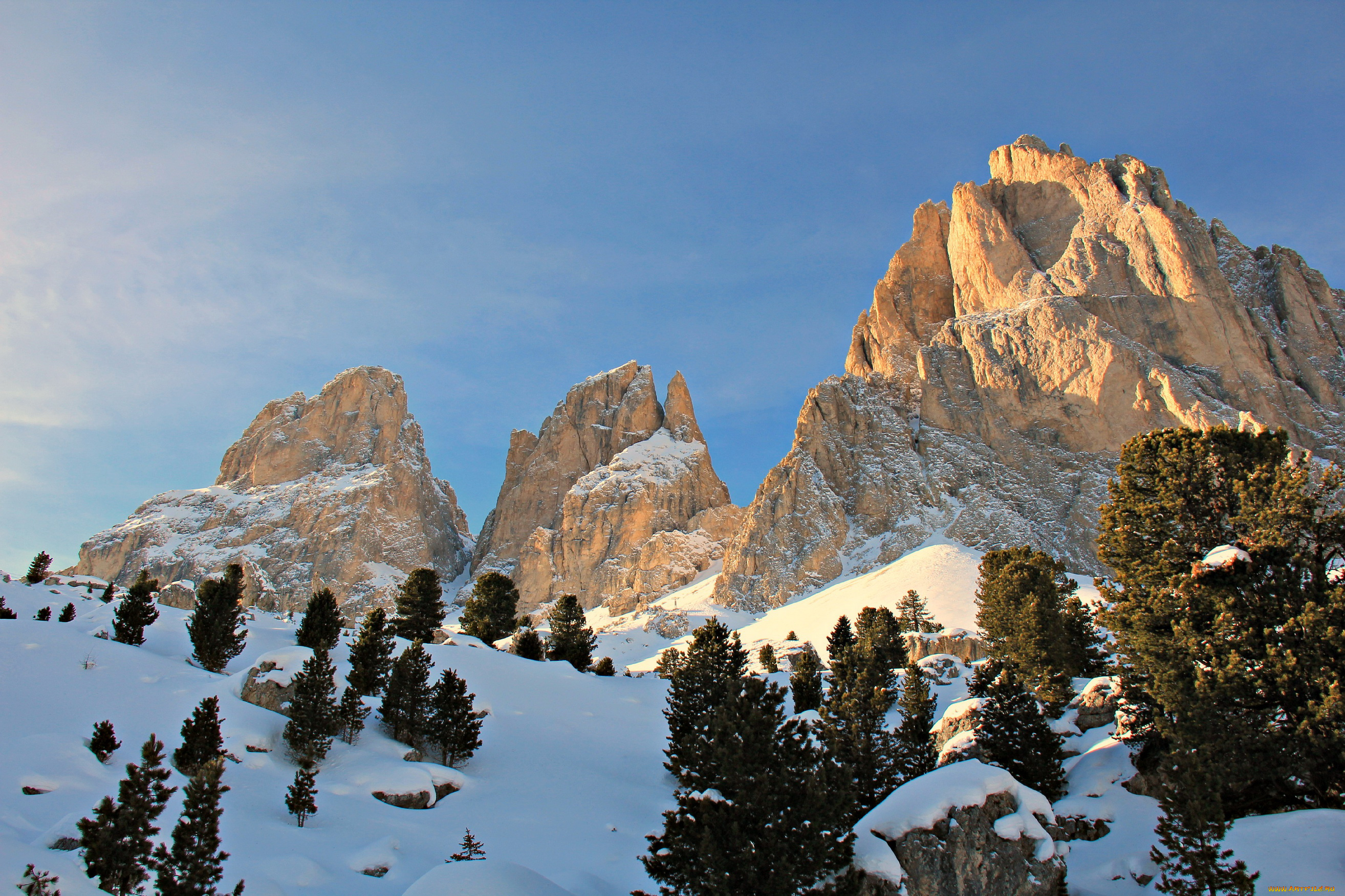 italian, alps, природа, горы, ели, снег