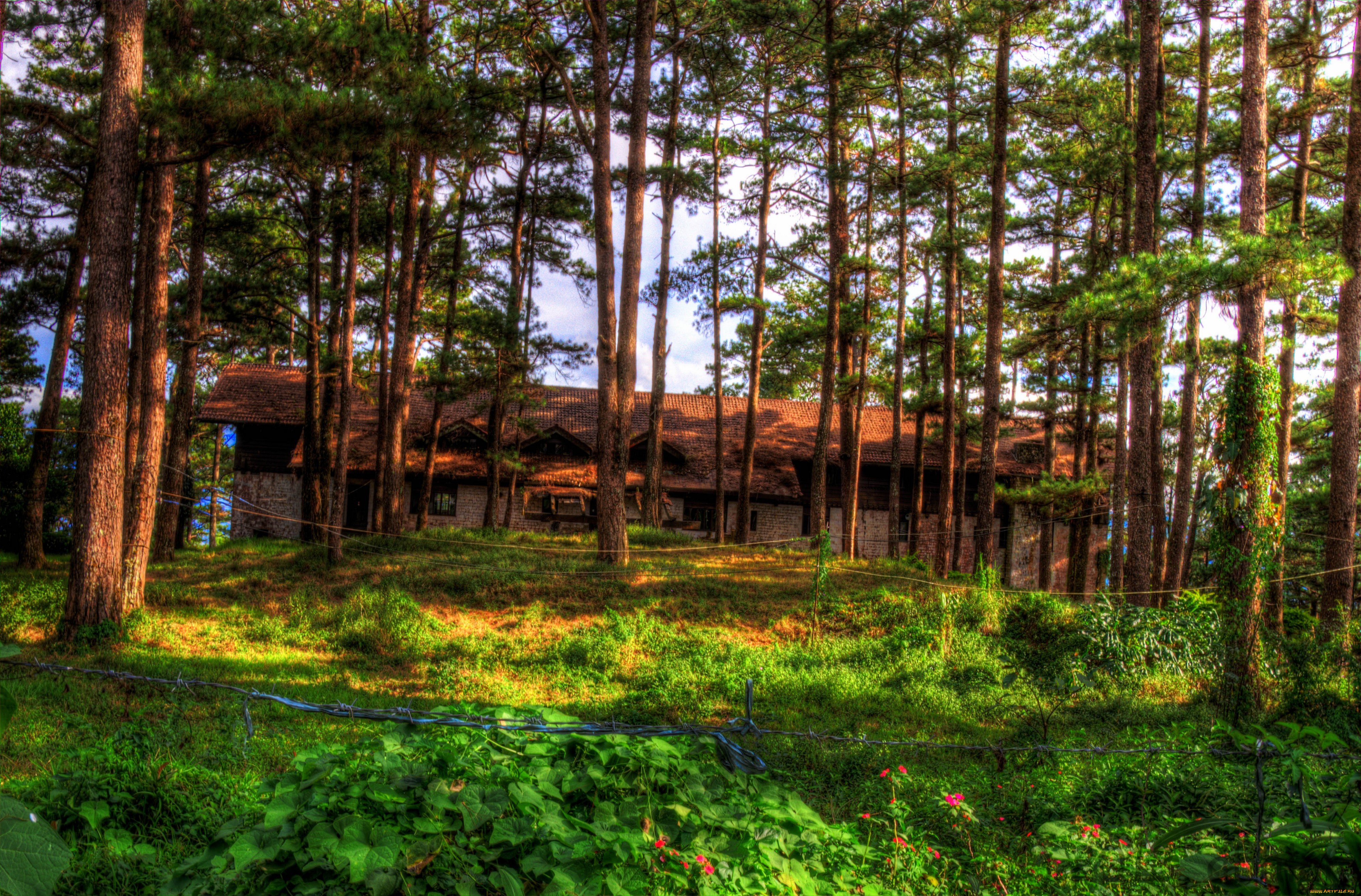 разное, сооружения, постройки, деревья, природа