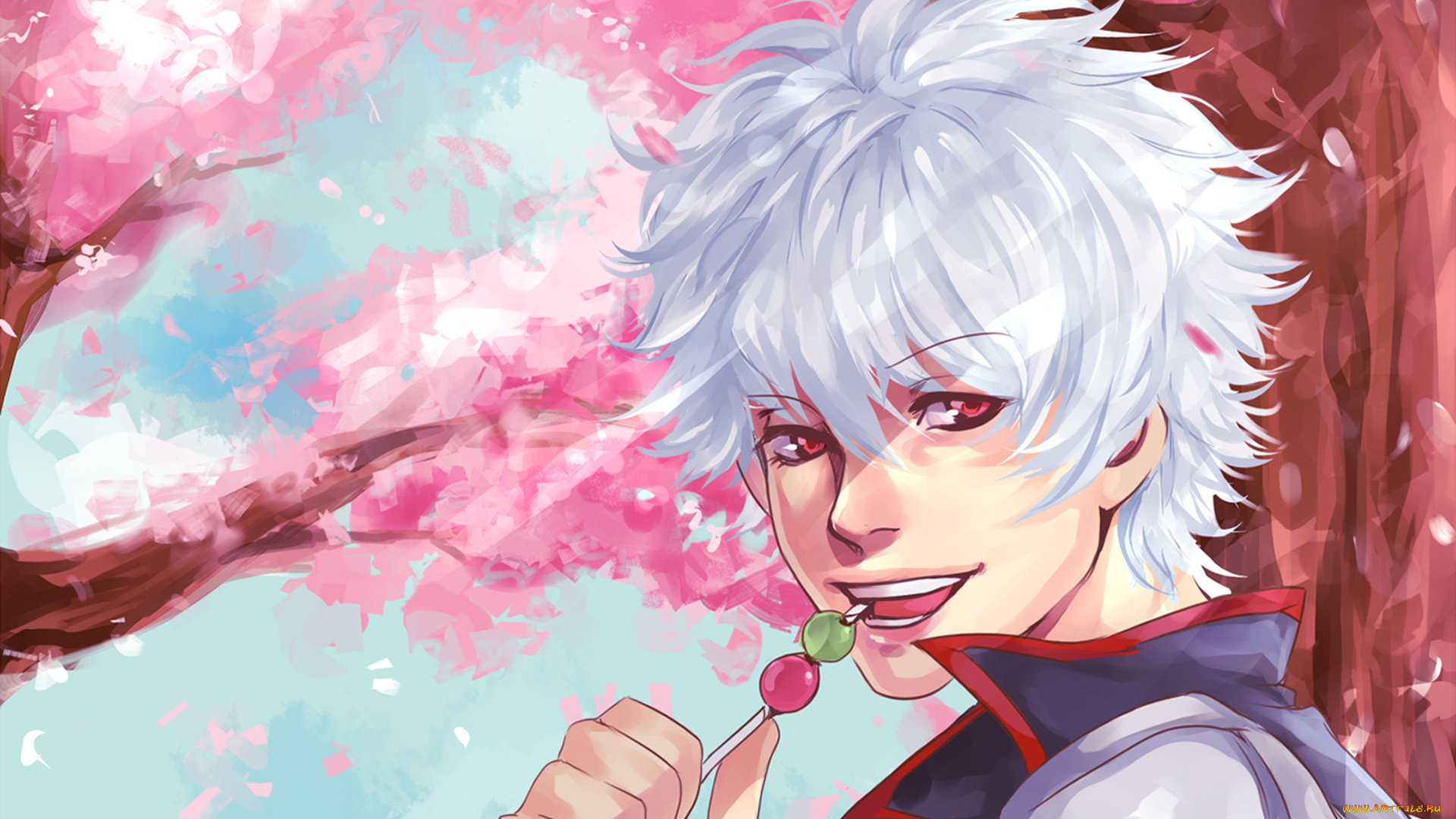 аниме, gintama, мужчина, самурай, гинтама, данго, sakata, gintoki, сакура, дерево