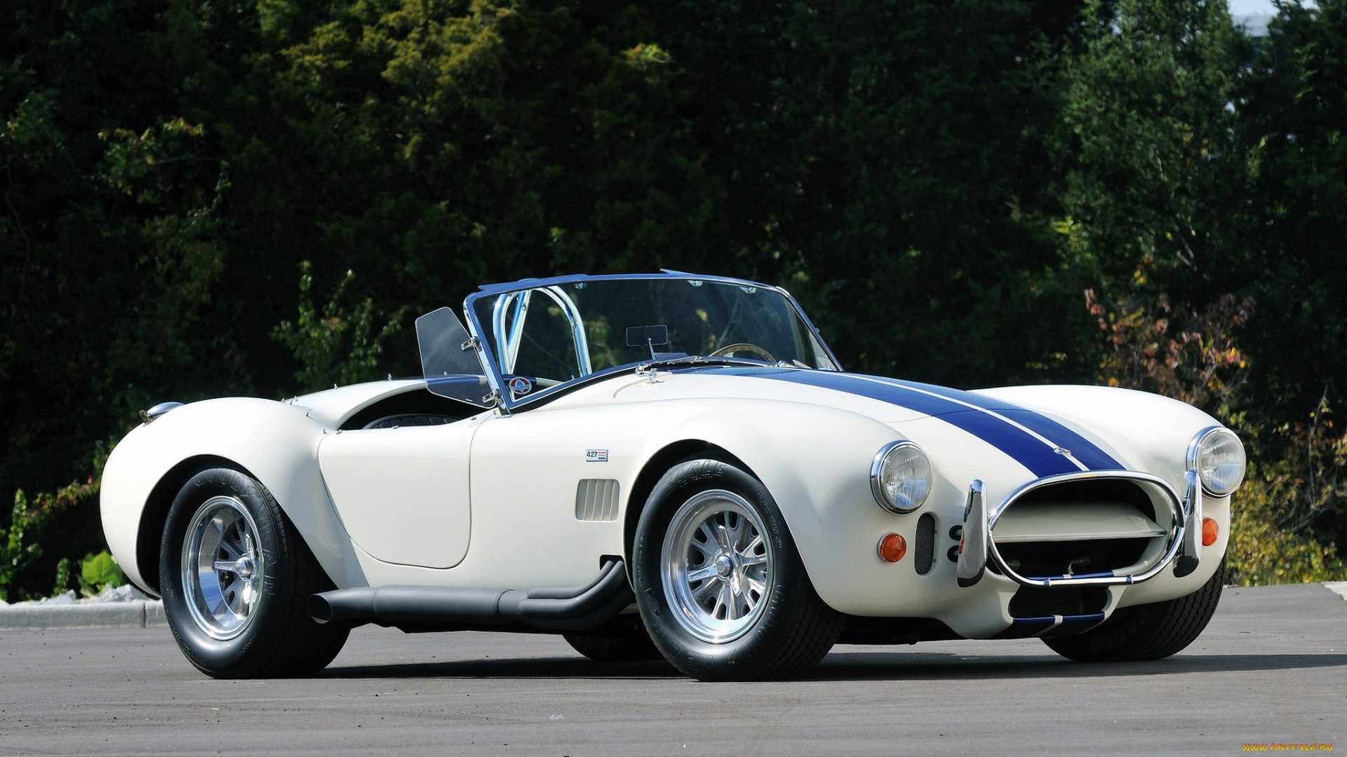 автомобили, ac, cobra, shelby