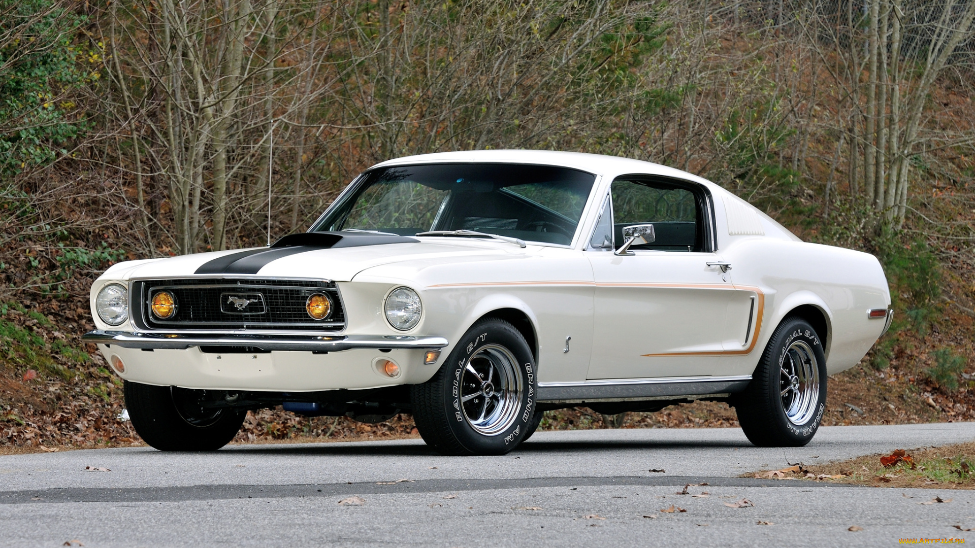 автомобили, mustang