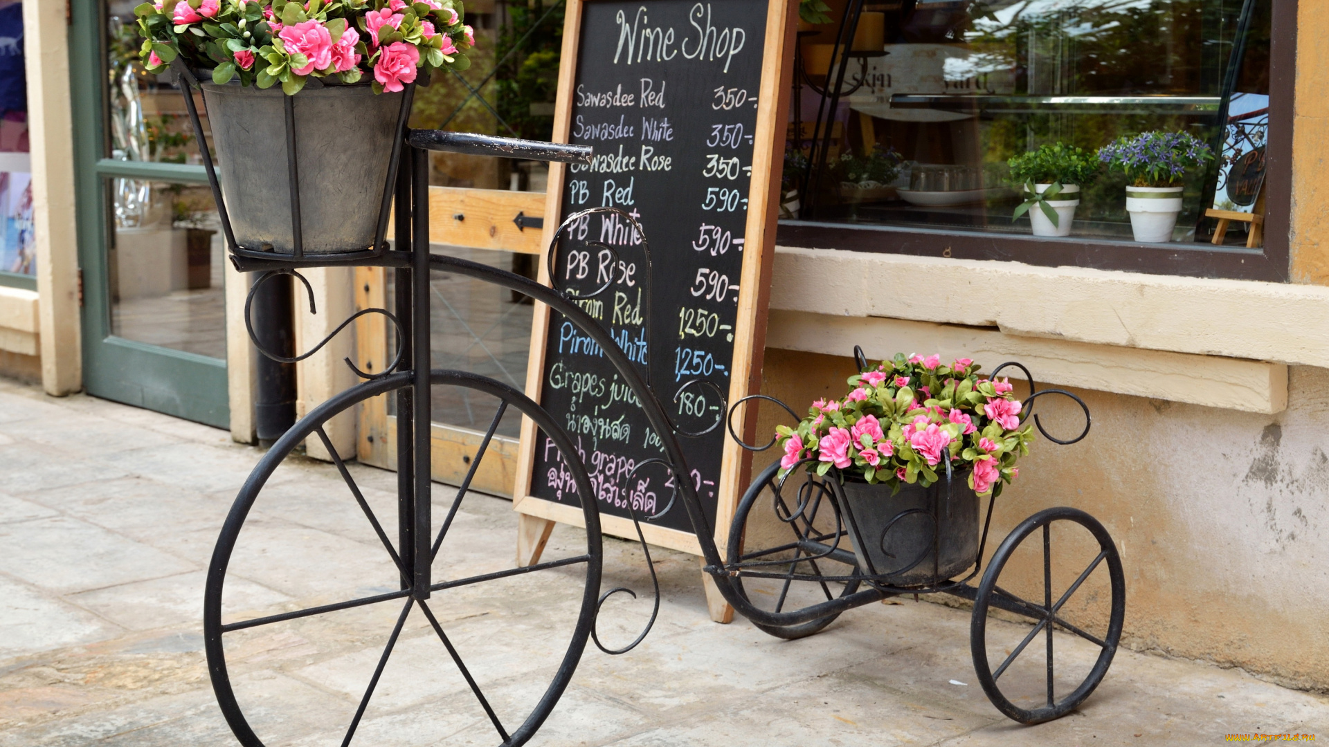 цветы, рододендроны, , азалии, вазон, подставка, велосипед, розовые, окно, витрина, город