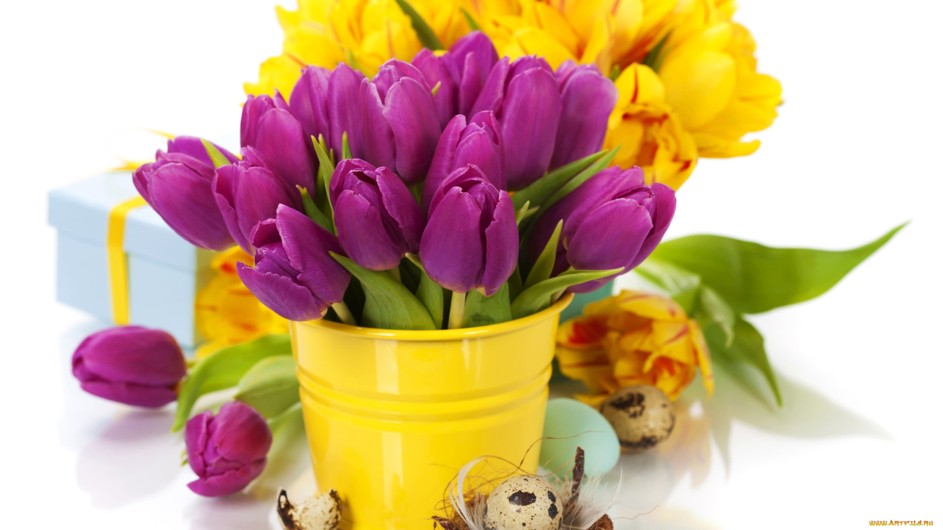 цветы, тюльпаны, букеты