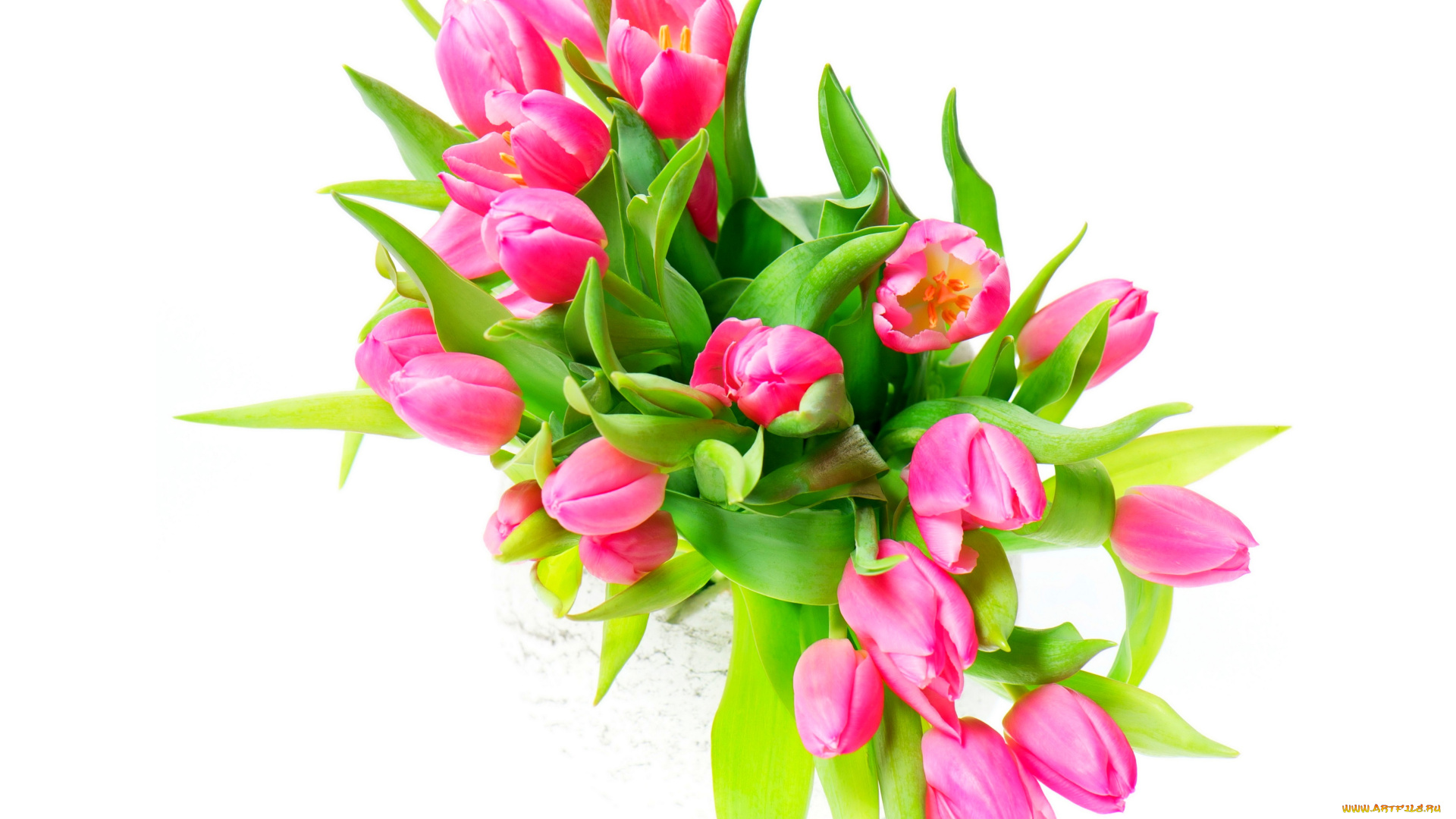 цветы, тюльпаны, ваза, розовые, белый, фон