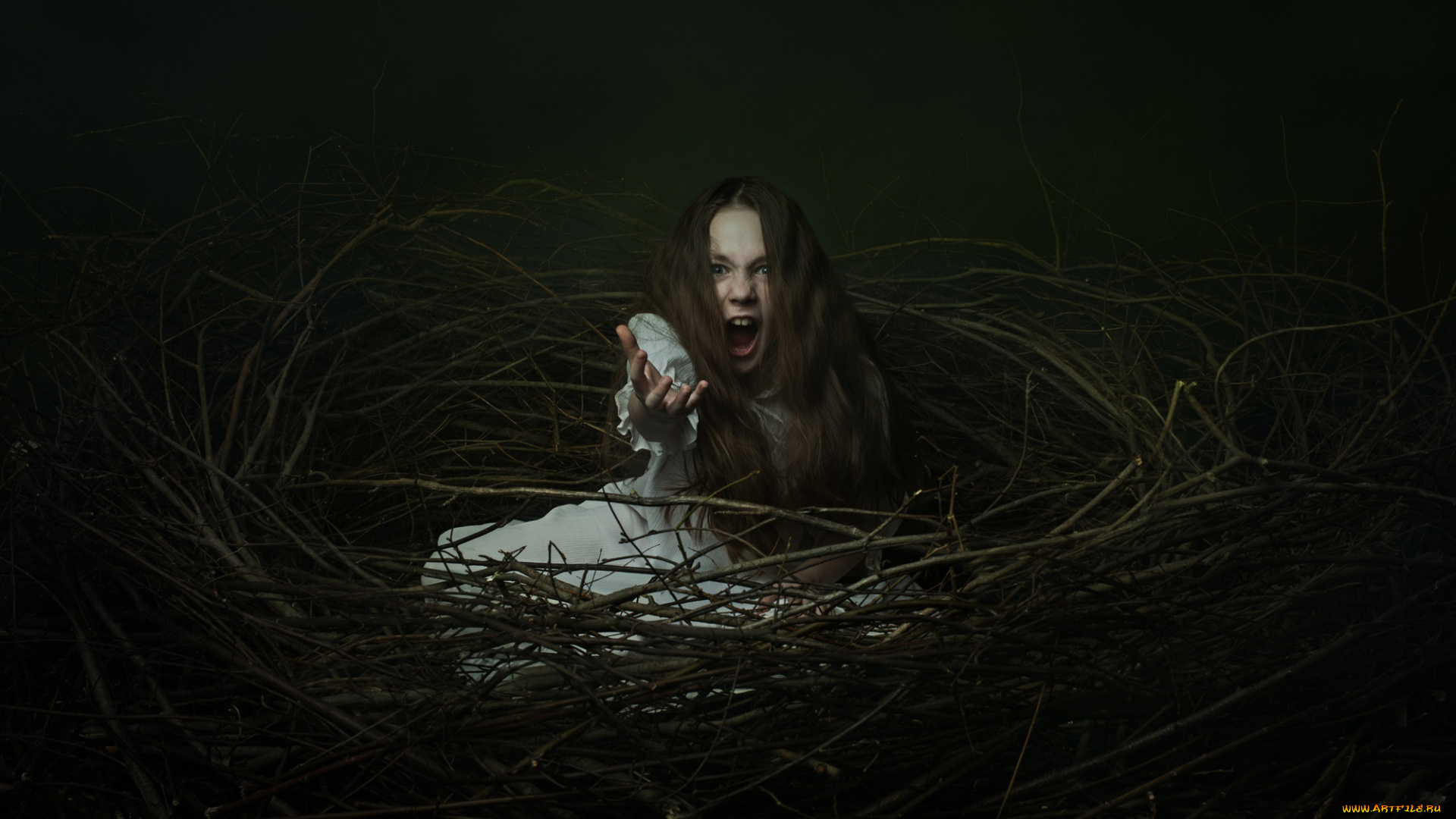 фэнтези, фотоарт, крик