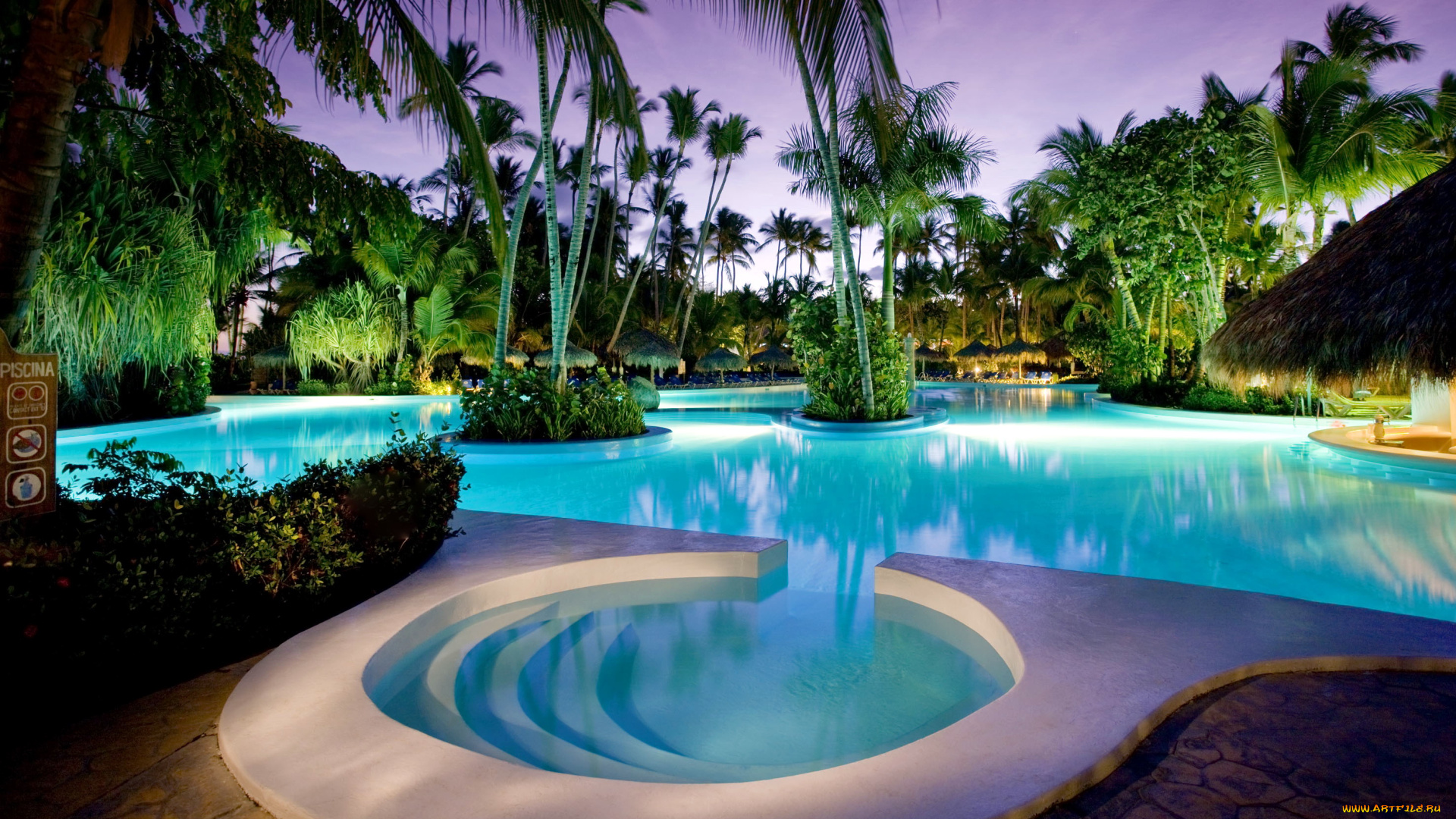 интерьер, бассейны, , открытые, площадки, тропики, пальмы