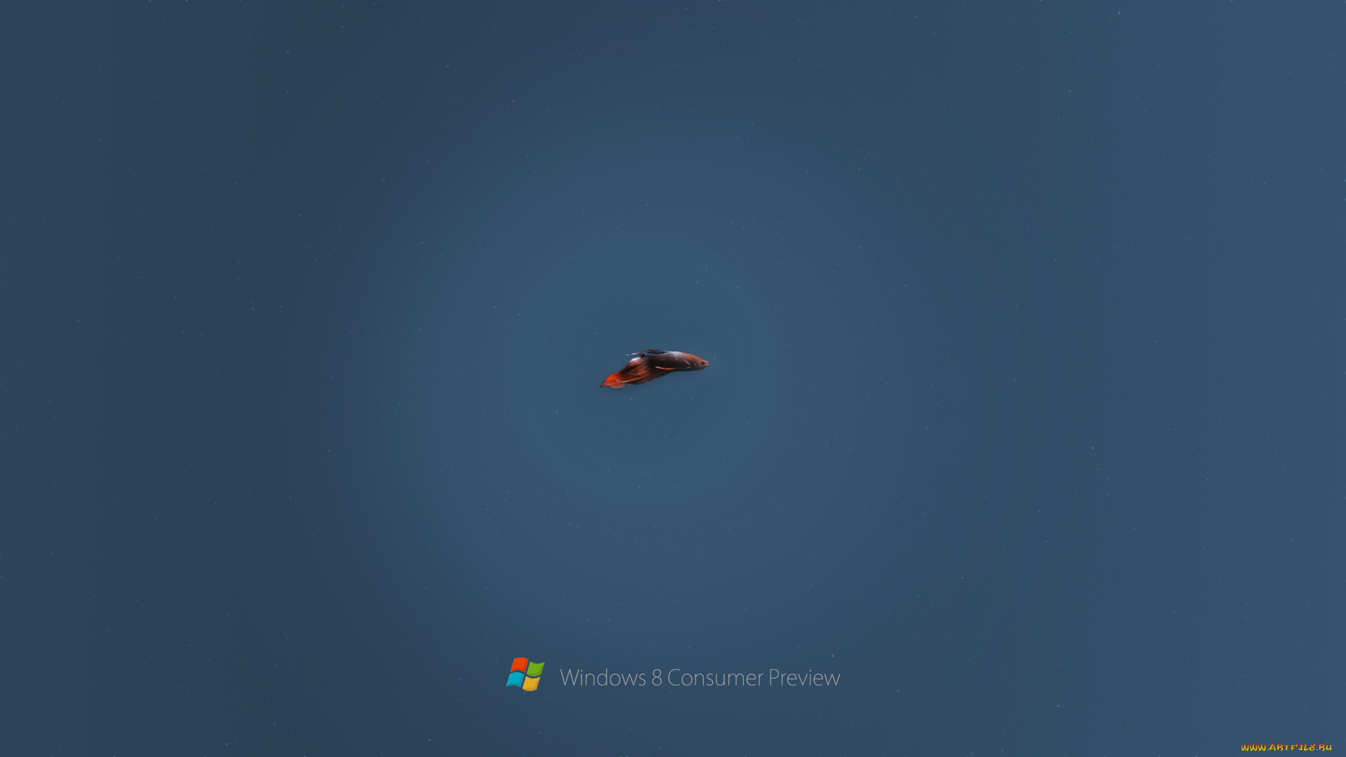 компьютеры, windows, 8, рыбка, синий, фон, логотип