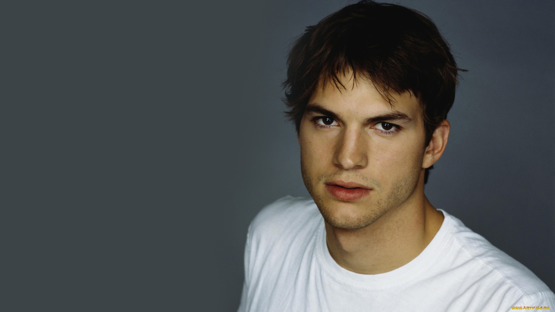 мужчины, ashton, kutcher, щетина, майка