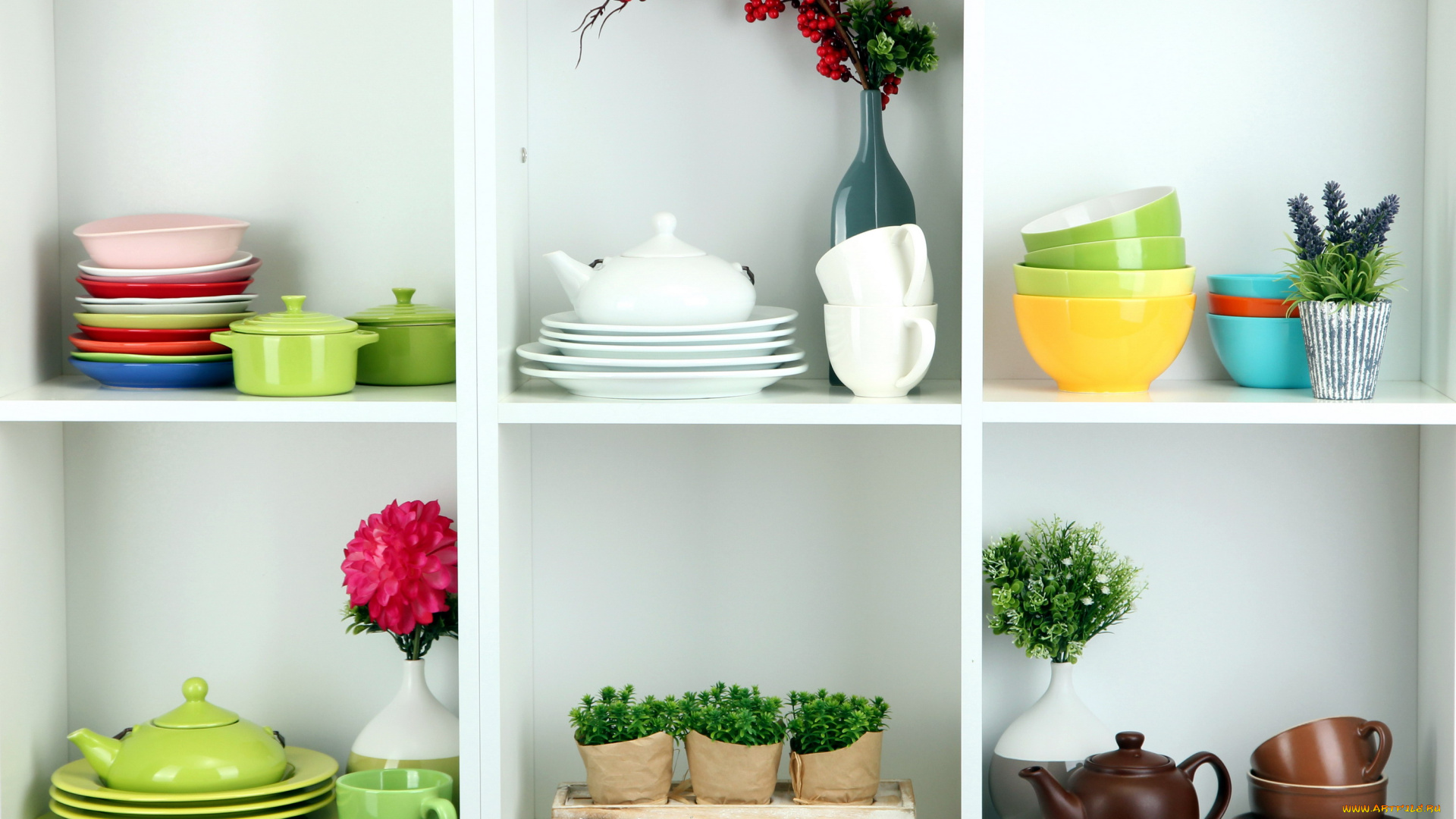 разное, посуда, , столовые, приборы, , кухонная, утварь, растения, полки