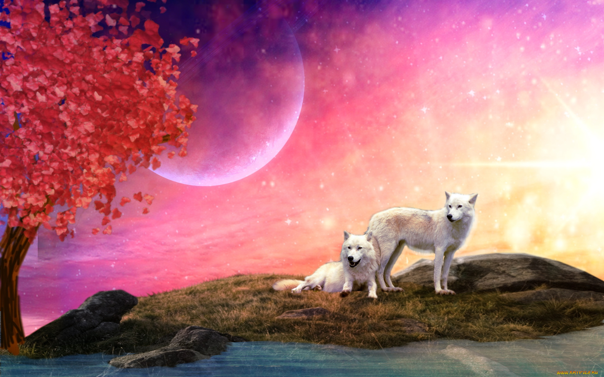 разное, компьютерный, дизайн, дерево, волки, планеты