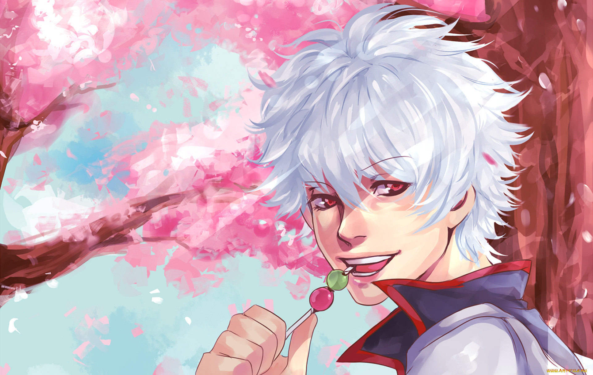 аниме, gintama, мужчина, самурай, гинтама, данго, sakata, gintoki, сакура, дерево
