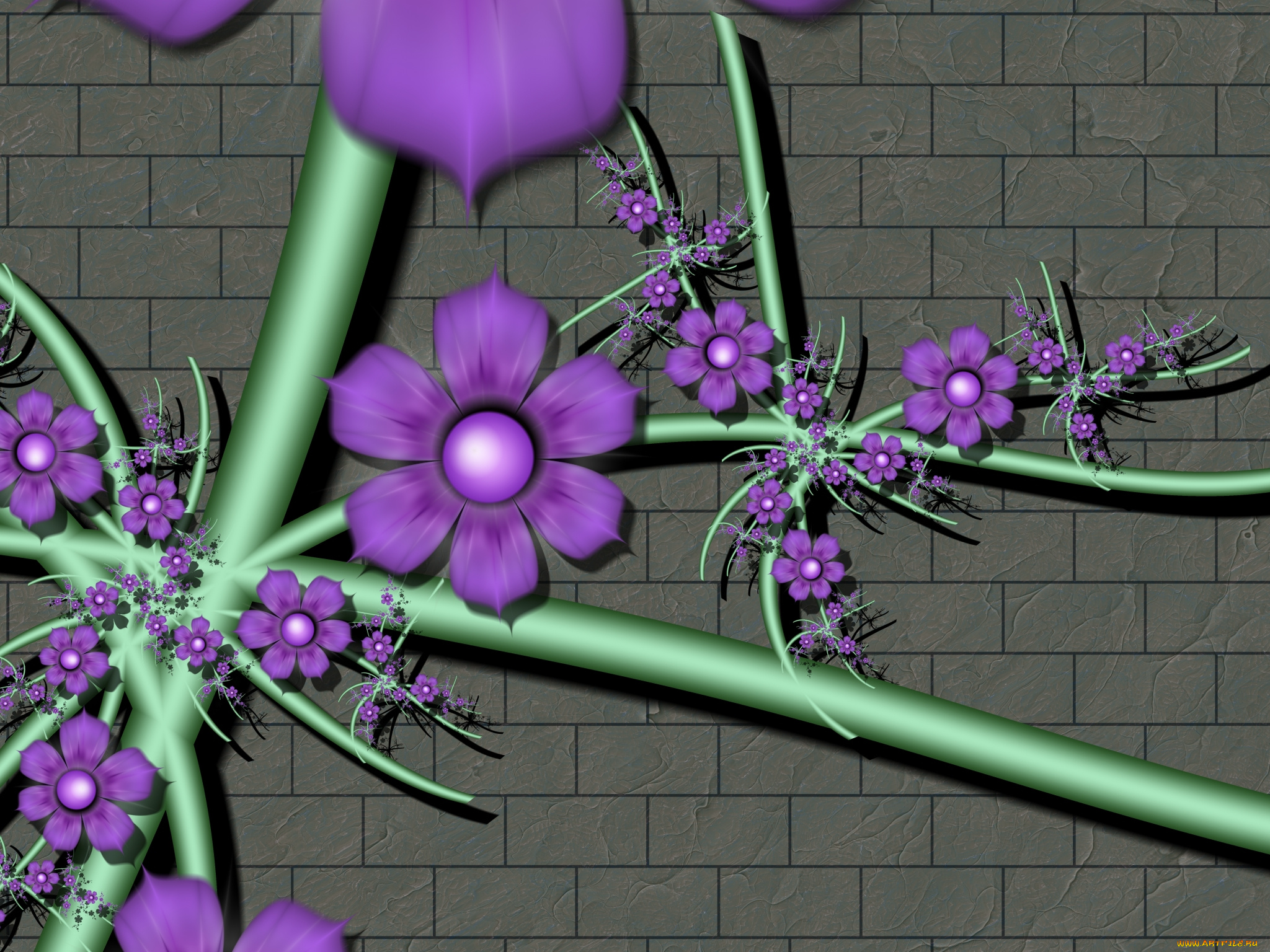 3д, графика, flowers, , цветы, стена, фон, лепестки