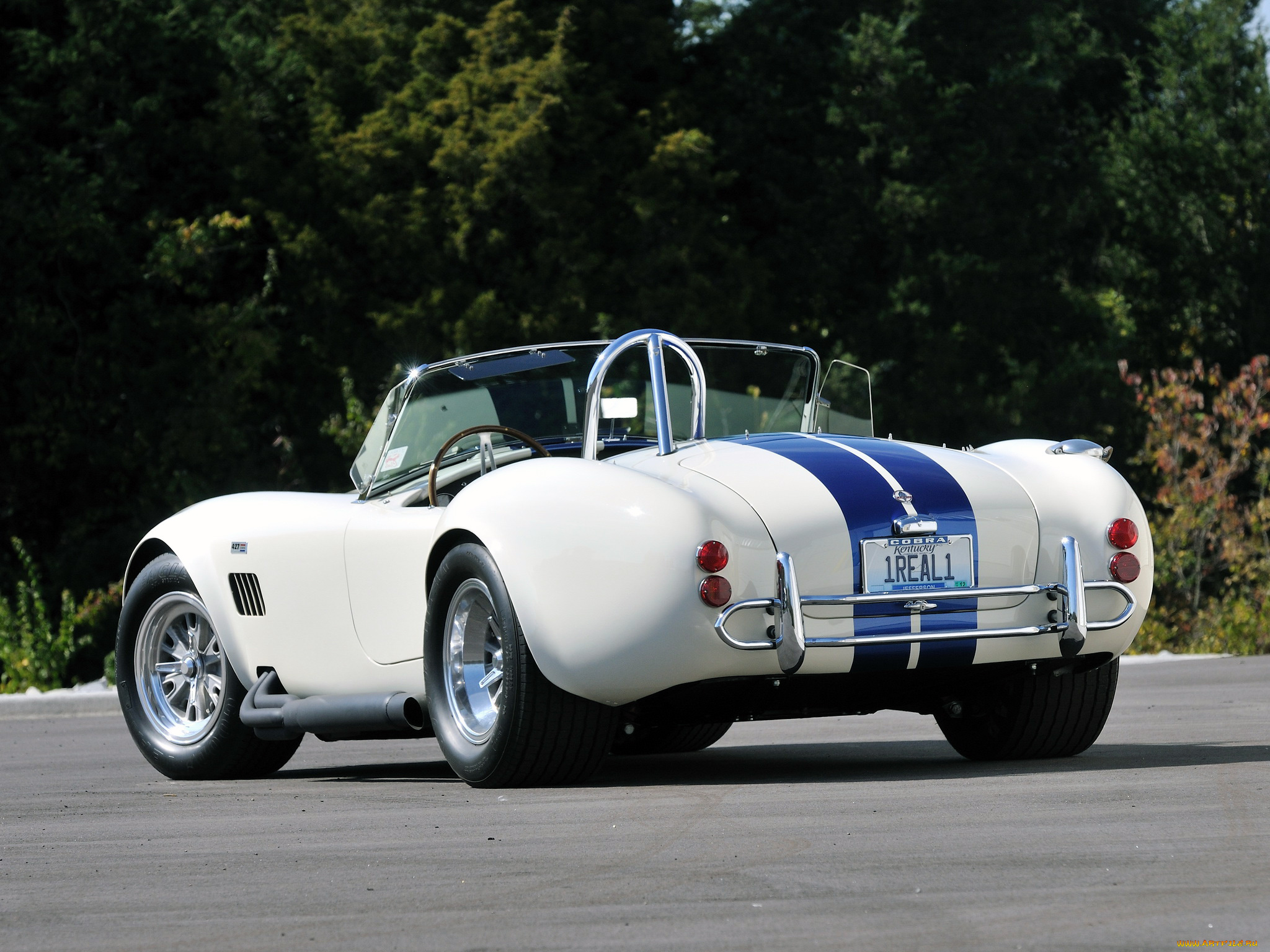 автомобили, ac, cobra, shelby